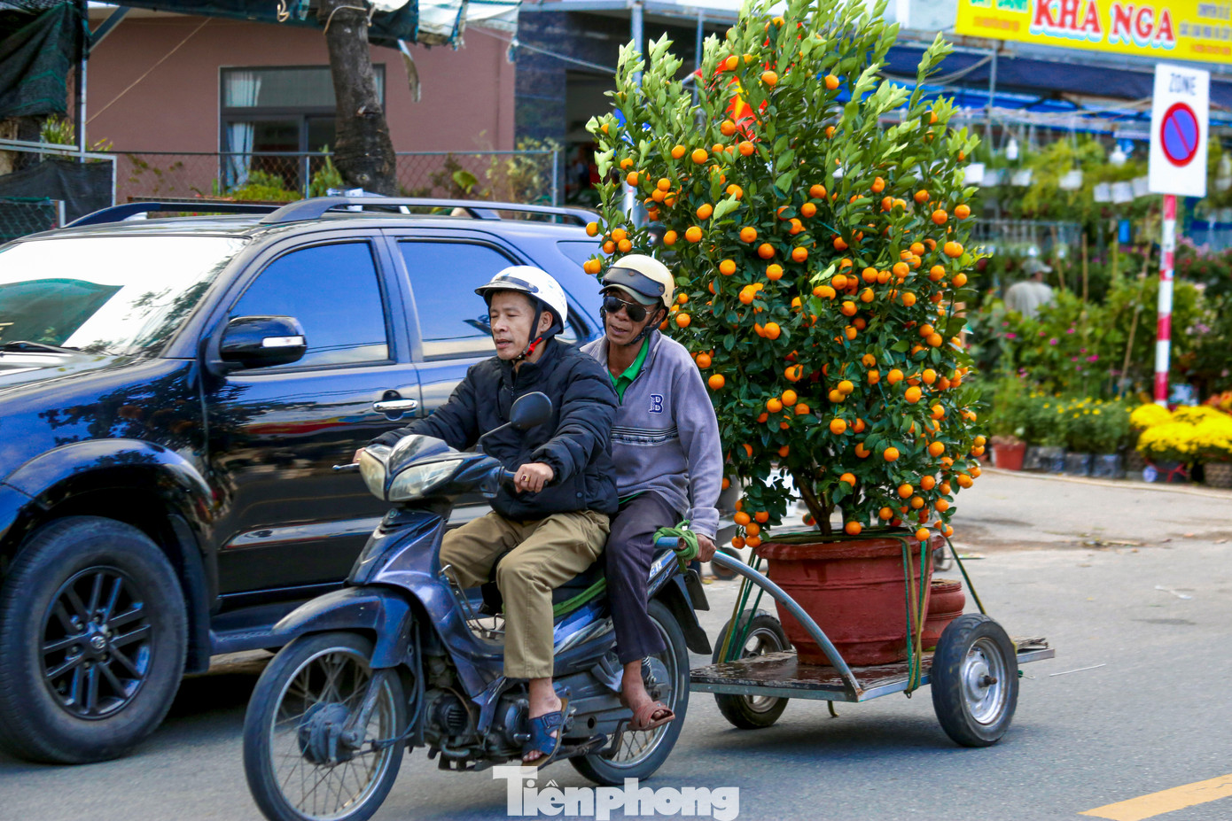 Nghề chở cây thuê ngày Tết- Ảnh 10.