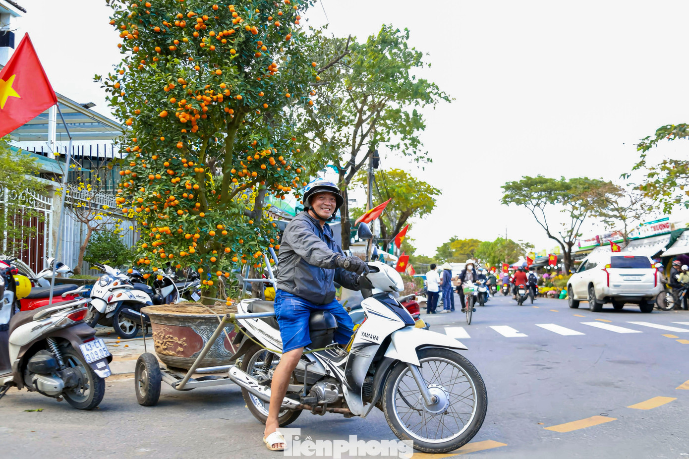 Nghề chở cây thuê ngày Tết- Ảnh 4.