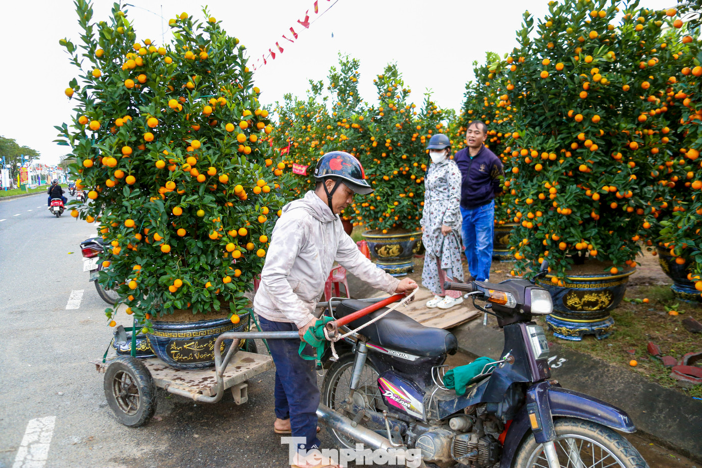 Nghề chở cây thuê ngày Tết- Ảnh 12.