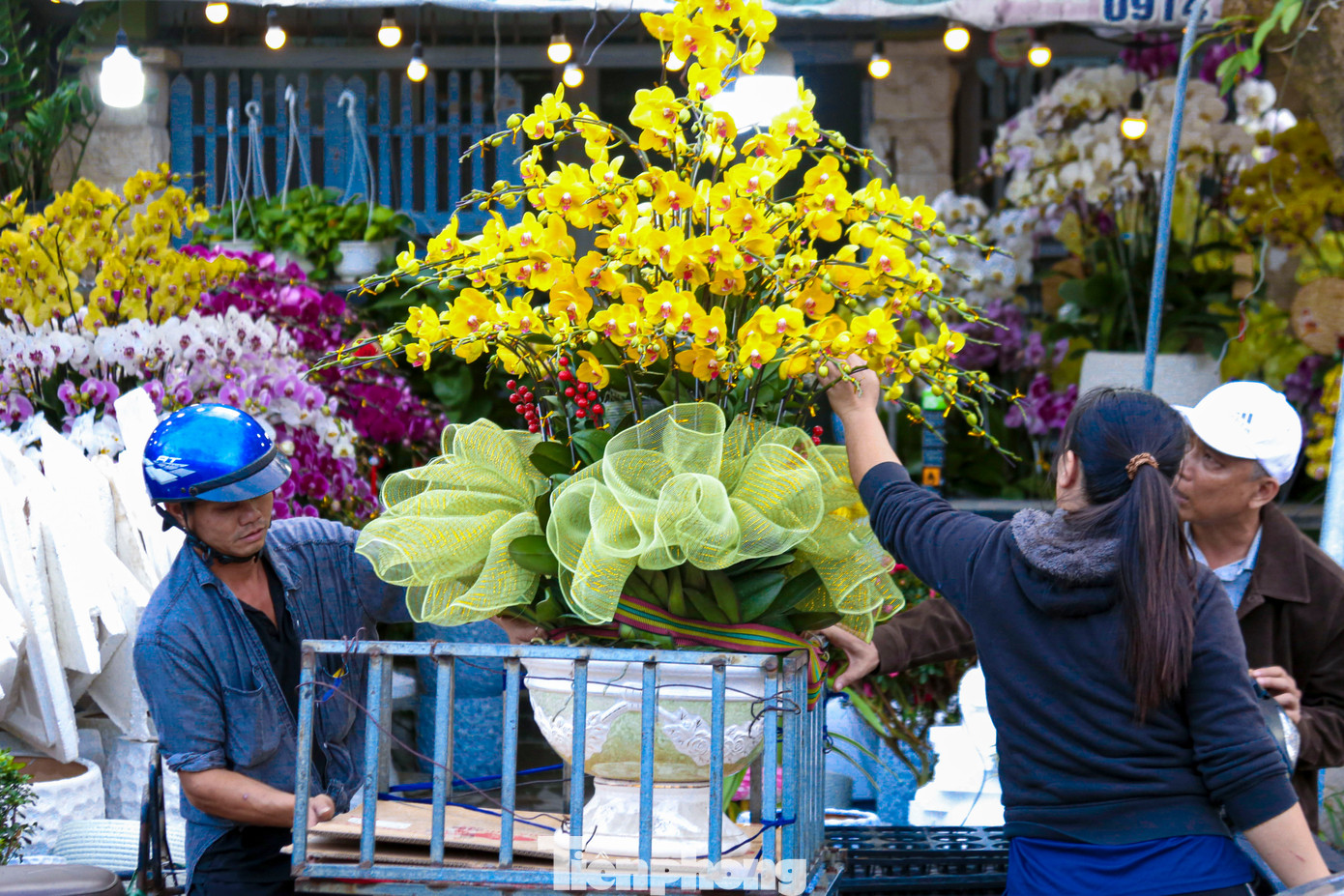 Nghề chở cây thuê ngày Tết- Ảnh 6.