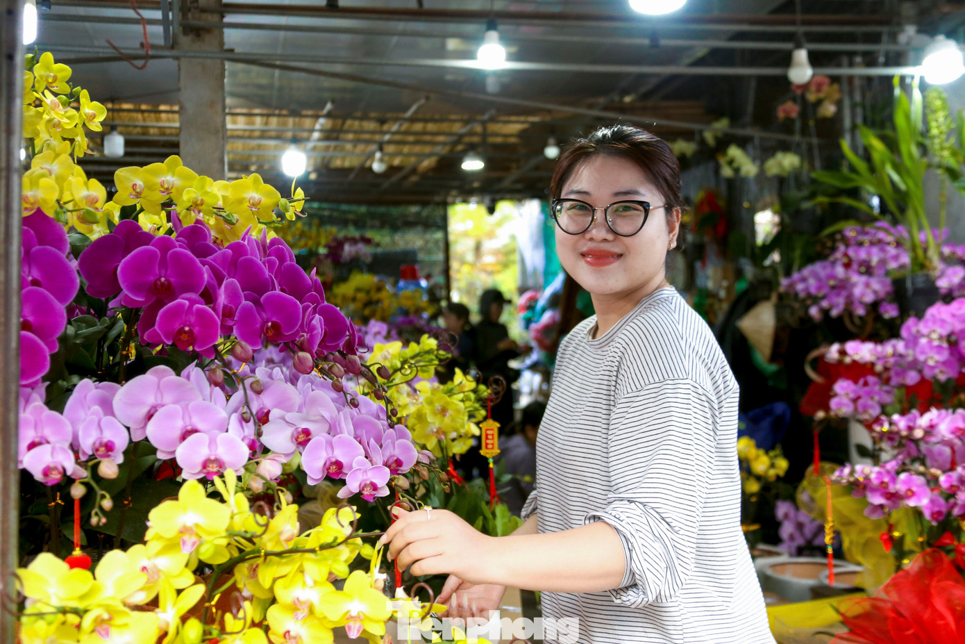 Nghề chở cây thuê ngày Tết- Ảnh 8.