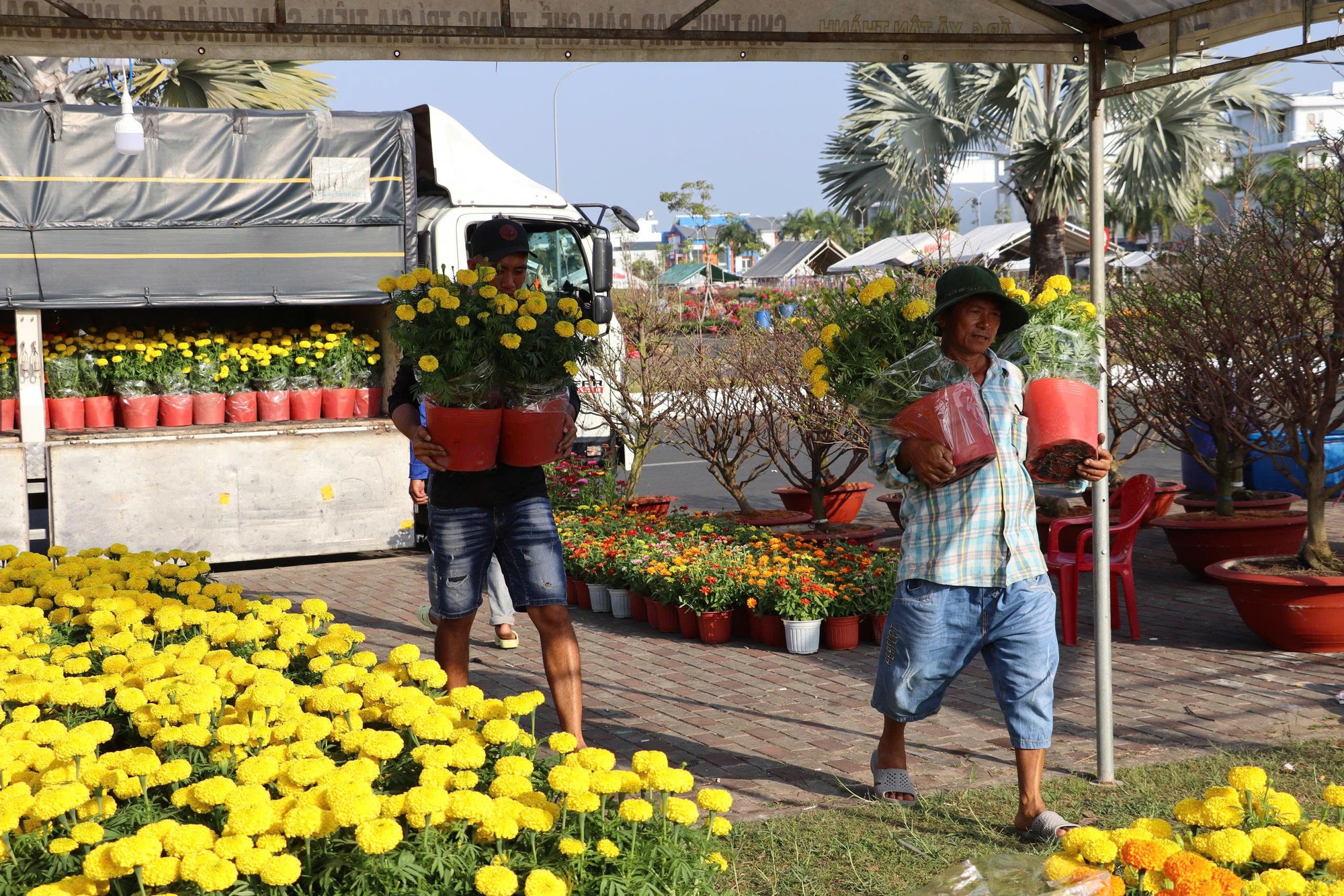 Hoa Tết giá mềm, hút khách - Ảnh 1.