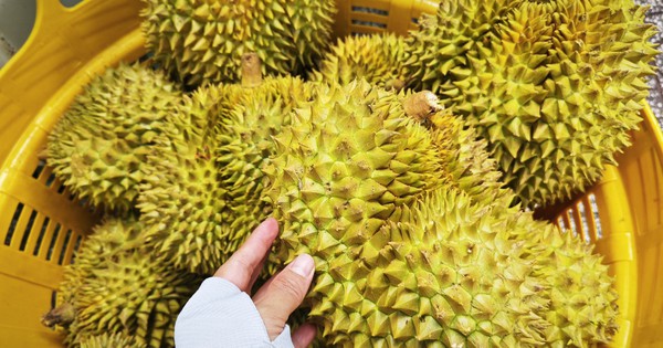 Quy định mới về xuất khẩu nông sản vào Trung Quốc - Ảnh 1.