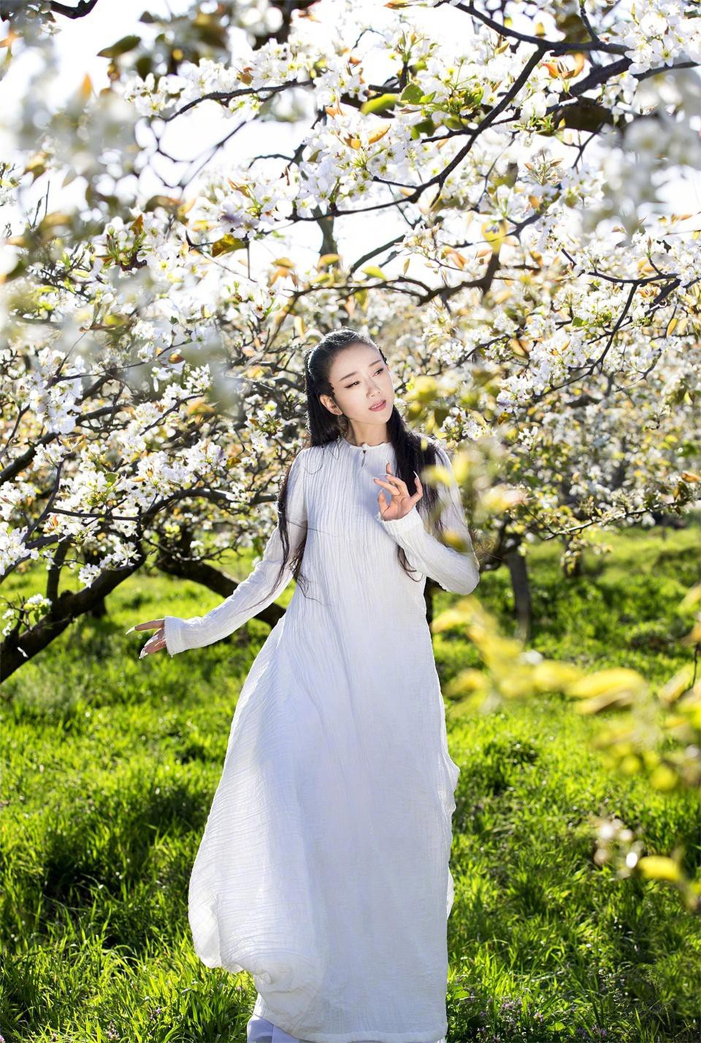 "Chim công làng múa" Dương Lệ Bình U70 vẫn dáng thẳng lưng thon: Rất chăm dùng 2 "món" để nuôi dưỡng khí huyết, bổ nội tiết- Ảnh 4.