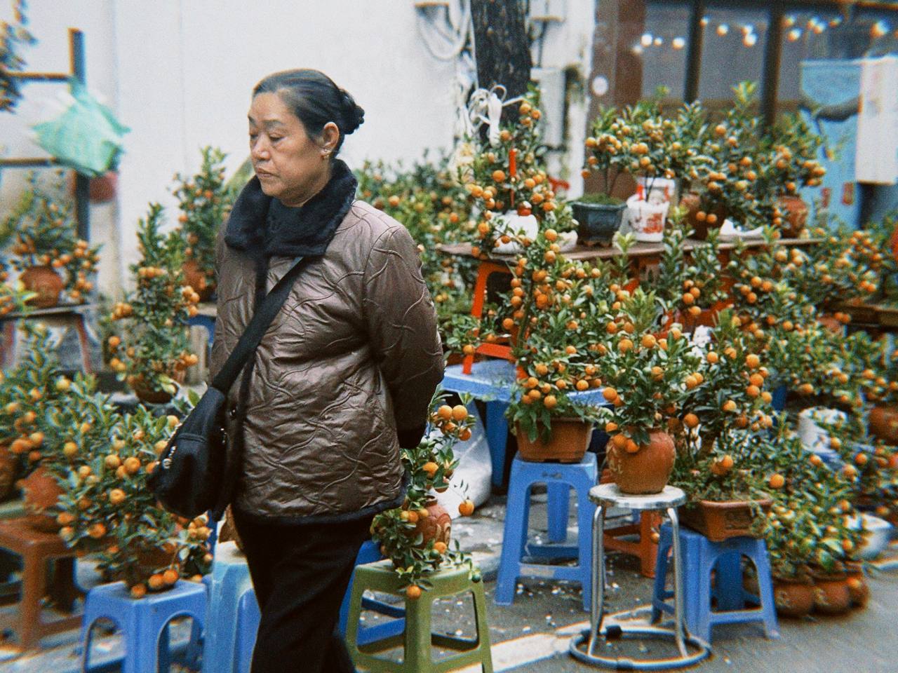 Cận cảnh Hàng Mã những ngày giáp Tết: Vắng bóng "nàng thơ" áo dài, khách Tây thích thú nhưng nhiều tiểu thương lại "ngồi chơi xơi nước" - Ảnh 21.