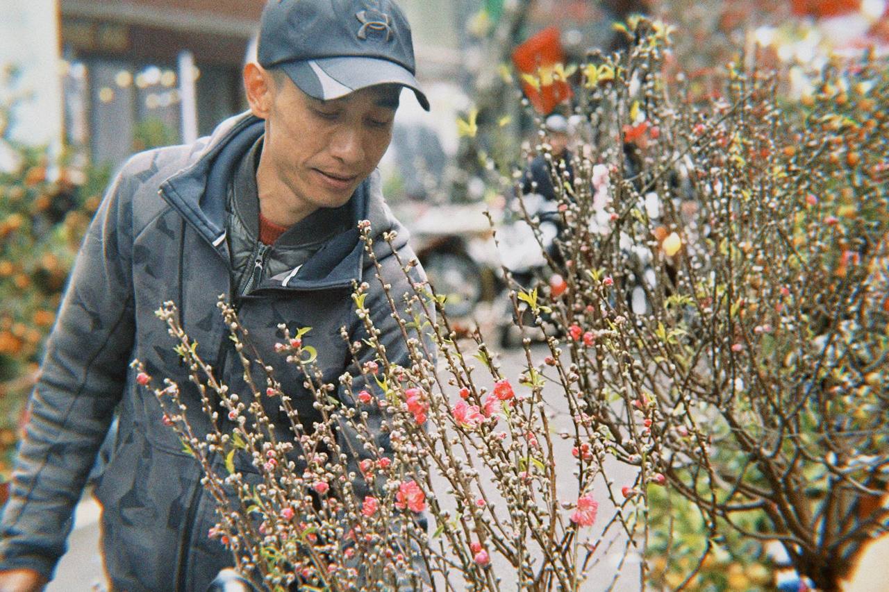 Cận cảnh Hàng Mã những ngày giáp Tết: Vắng bóng "nàng thơ" áo dài, khách Tây thích thú nhưng nhiều tiểu thương lại "ngồi chơi xơi nước" - Ảnh 22.