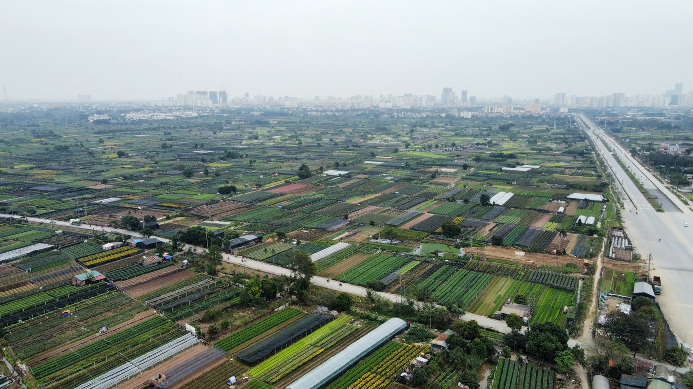 Dự án khu công nghệ cao sinh học hơn 1 tỷ đô được giao đất- Ảnh 1.