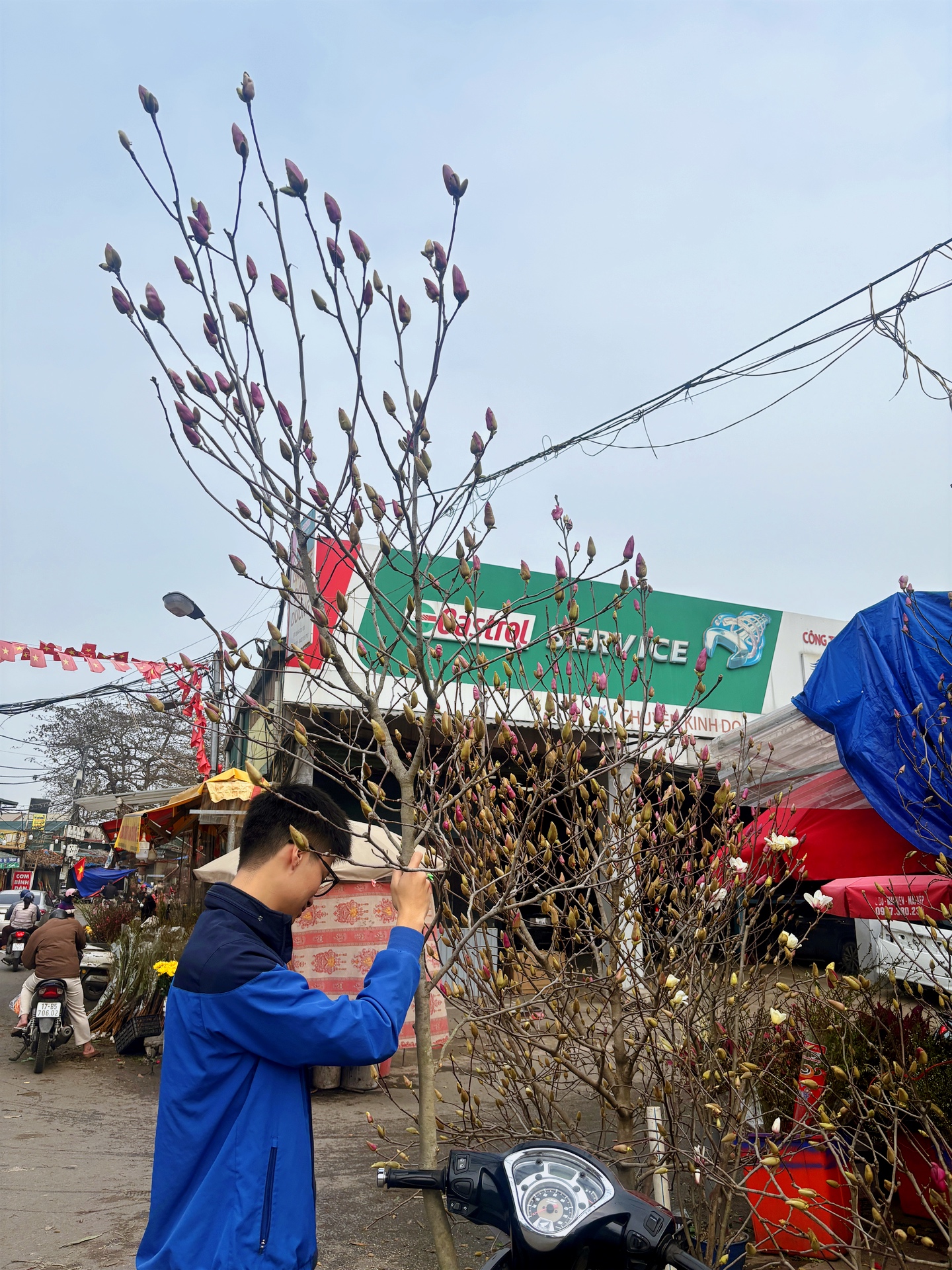 Chợ hoa Quảng Bá năm nay: Một loại hoa mới chiếm sóng, giá lên đến tiền triệu nhưng khách chốt mua chỉ trong nốt nhạc - Ảnh 5.