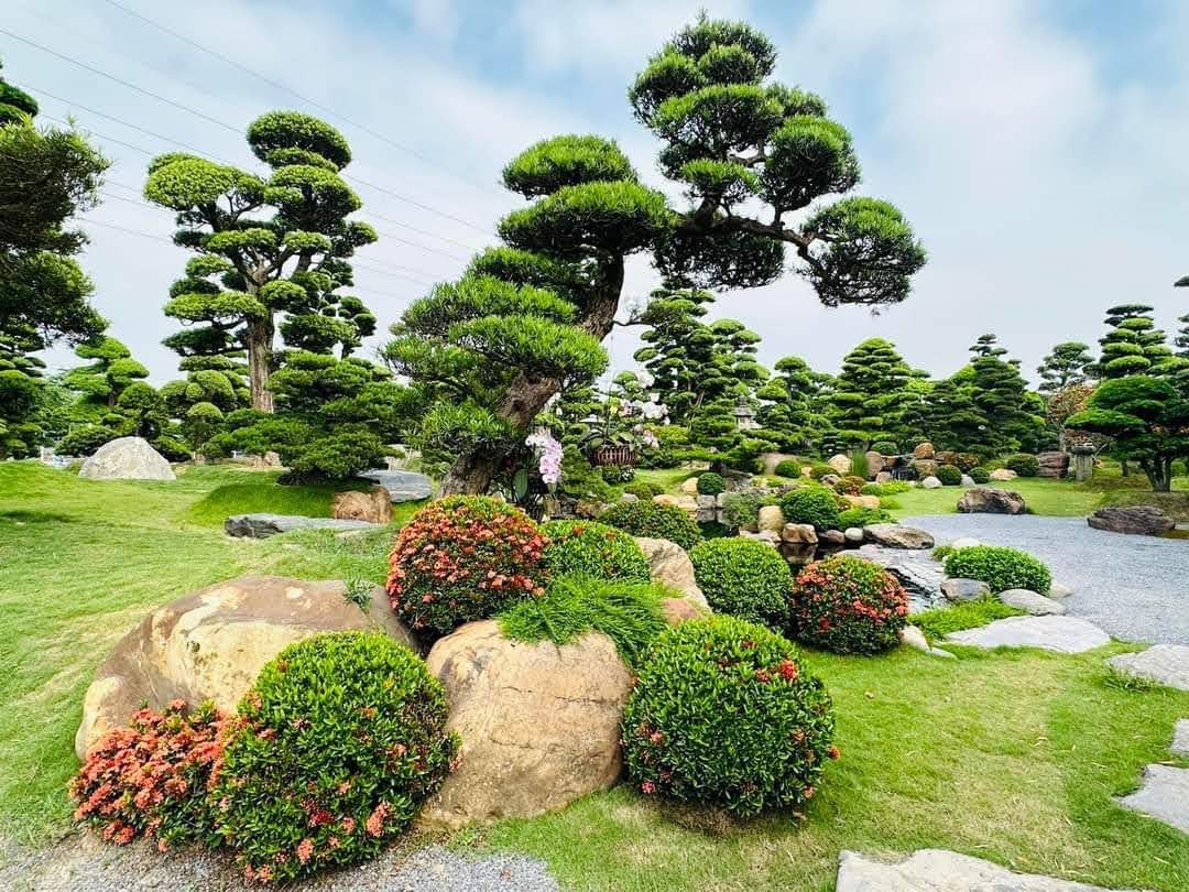 3 loại cây là "báu vật": Trấn trạch, giữ nhà qua nhiều thế hệ khi có trong vườn nhà - Ảnh 2.