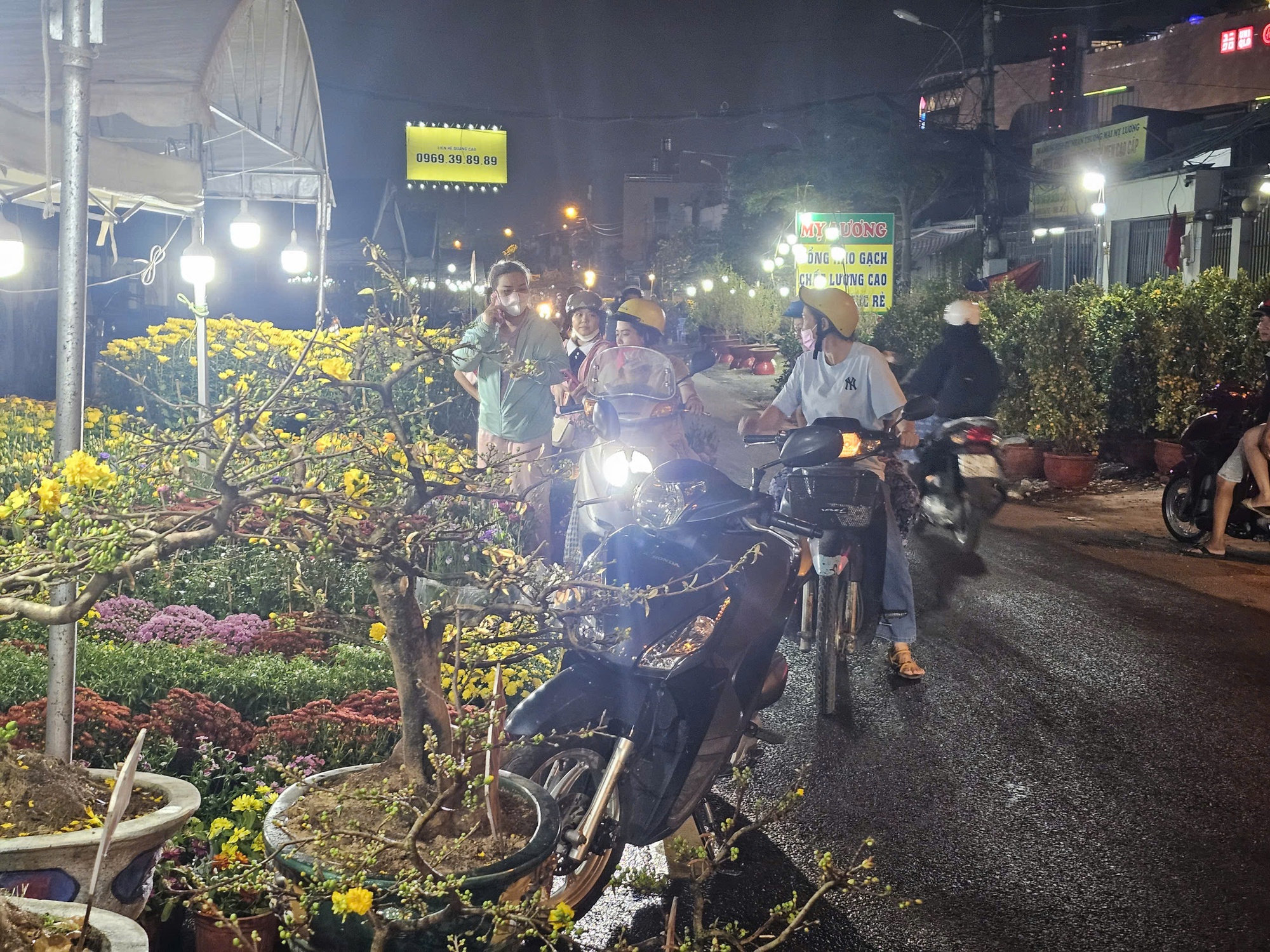 Thị trường hoa Tết 2026: Những lọai hoa đang “ cháy hàng ” và giá cả hấp dẫn - Ảnh 3.