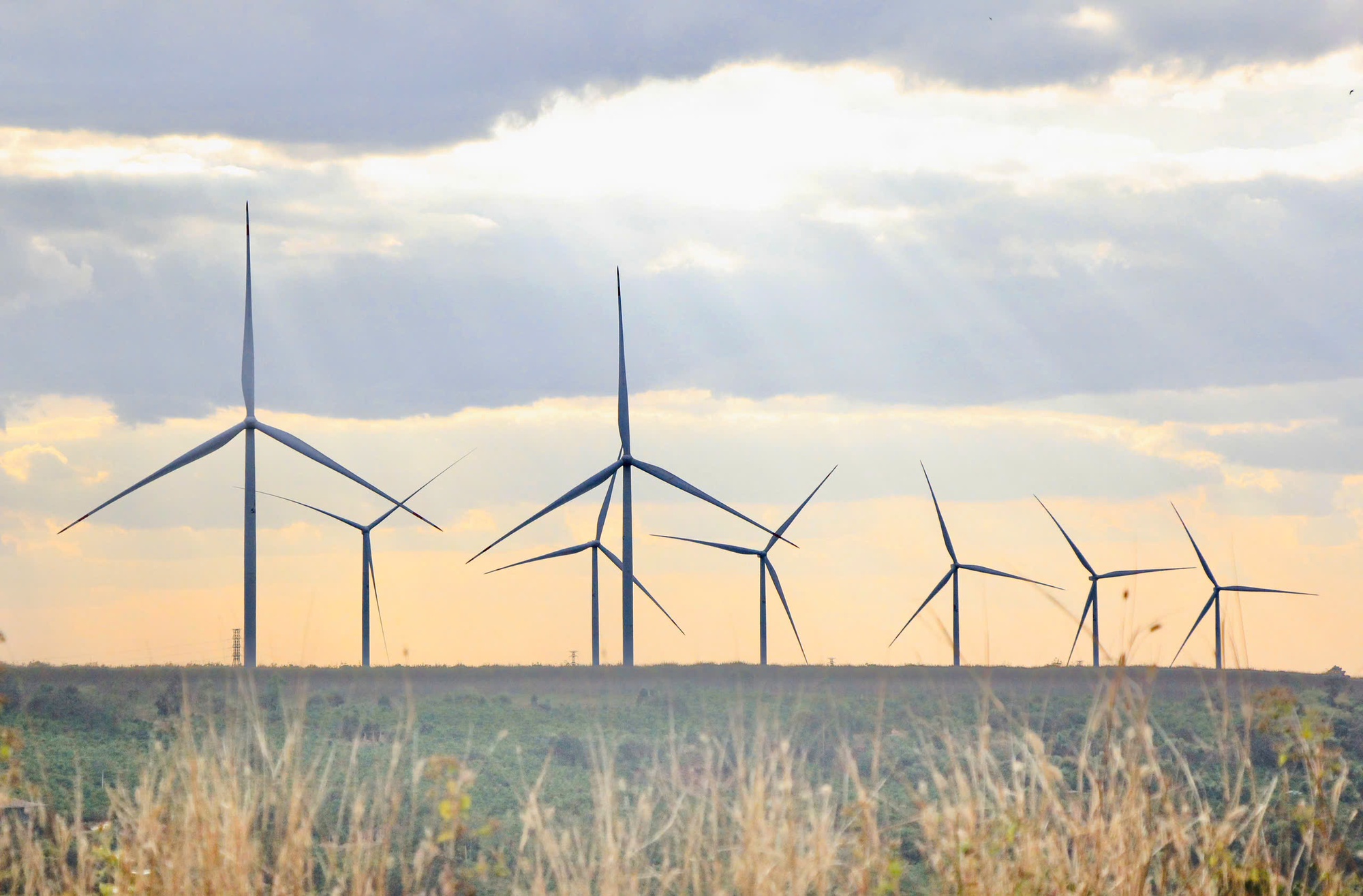 Đưa Gia Lai trở thành trung tâm năng lượng tái tạo - Ảnh 1.