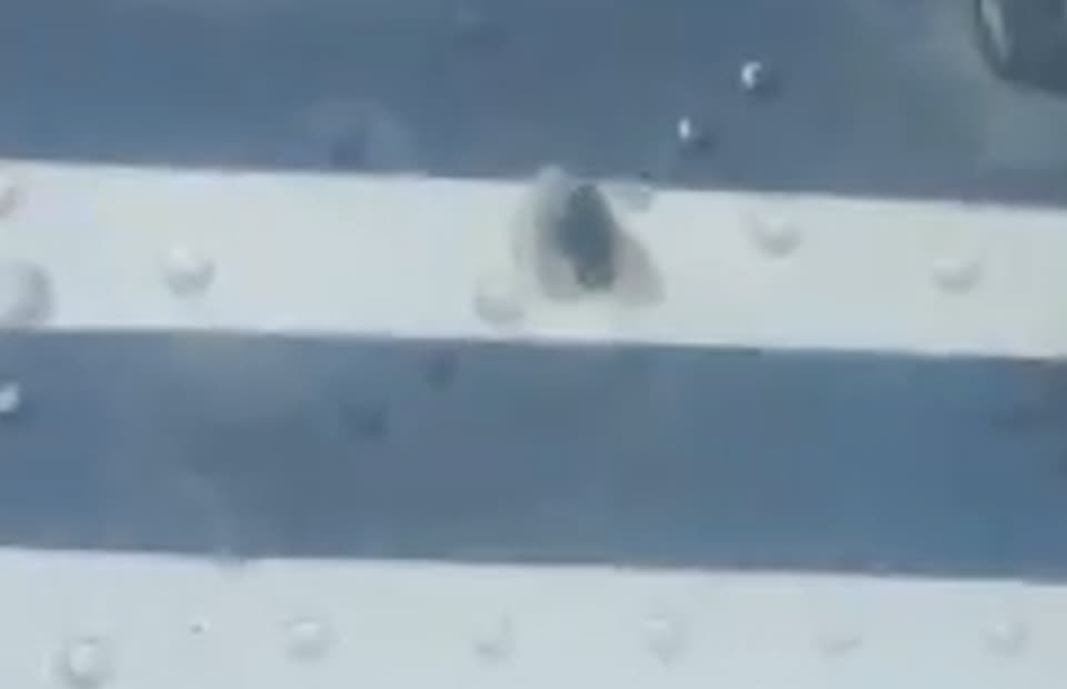 Indonesia: Cơ trưởng và cơ phó bị bắn tử vong ngay sau khi máy bay hạ cánh, hành khách hoảng loạn tháo chạy thoát thân- Ảnh 2.