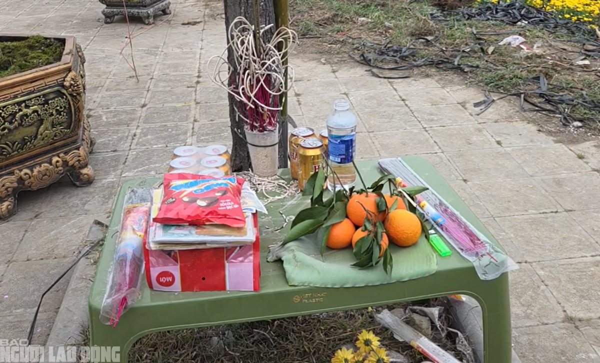 Đào nở thắm phố phường, tiểu thương méo mặt chặt bỏ - Ảnh 10.