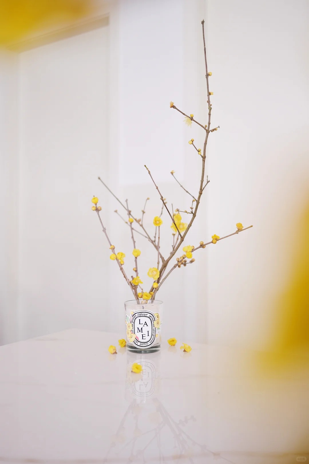 Tết 2026: Đừng chỉ cắm đào hay ly, thử ngay loài hoa "thơm thấu tâm can" này để phòng khách vừa sang vừa vượng khí, ngắm thôi cũng thấy cả một vườn xuân đắt giá!- Ảnh 6.