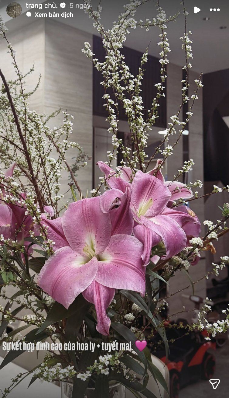 Biệt thự mấy chục tỷ nhà Đoàn Văn Hậu tràn ngập sắc hoa đón Tết, tiểu thư Doãn Hải My khéo chăm quá đi! - Ảnh 6.