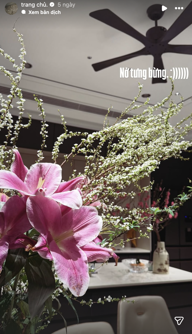 Biệt thự mấy chục tỷ nhà Đoàn Văn Hậu tràn ngập sắc hoa đón Tết, tiểu thư Doãn Hải My khéo chăm quá đi! - Ảnh 8.