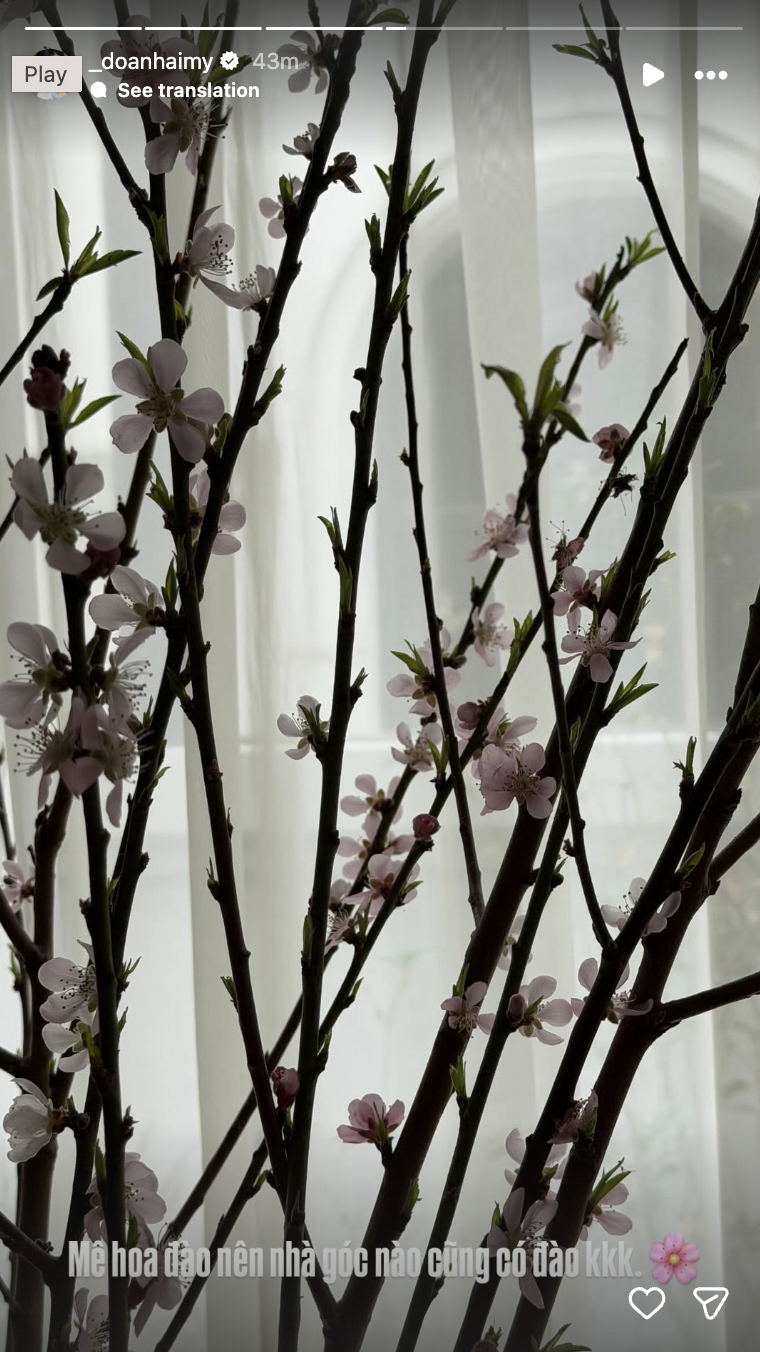 Biệt thự mấy chục tỷ nhà Đoàn Văn Hậu tràn ngập sắc hoa đón Tết, tiểu thư Doãn Hải My khéo chăm quá đi! - Ảnh 5.