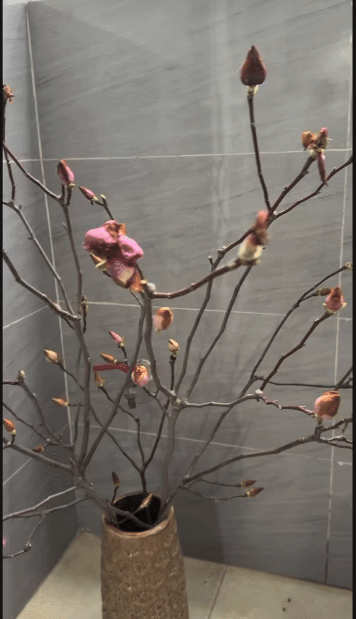 Cái kết "tàn canh gió lạnh" của dân chơi mộc lan Tết - Ảnh 6.