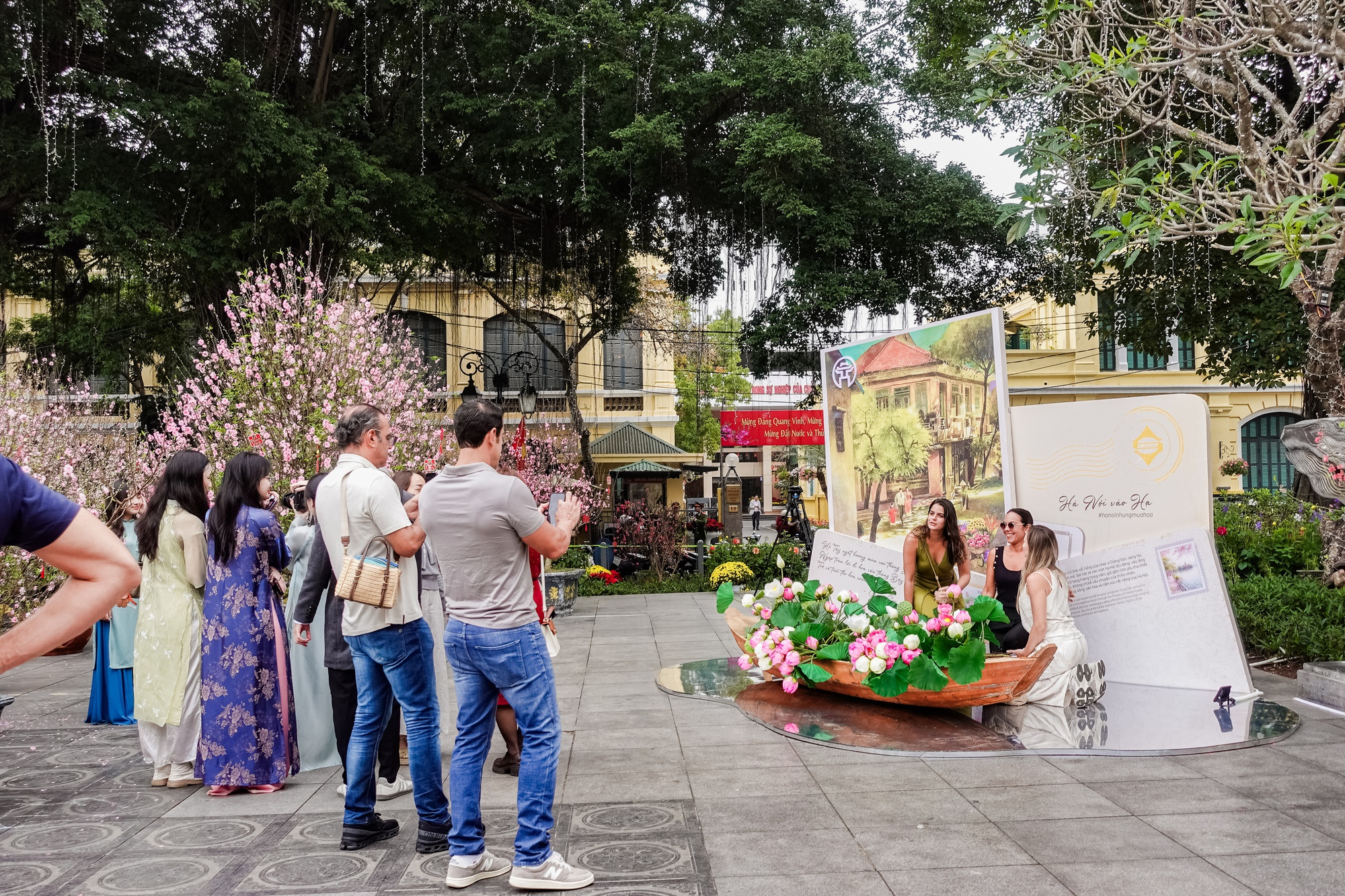 Khách Tây ngỡ ngàng trước vườn đào lớn chưa từng có nằm ngay giữa trung tâm Hà Nội- Ảnh 10.