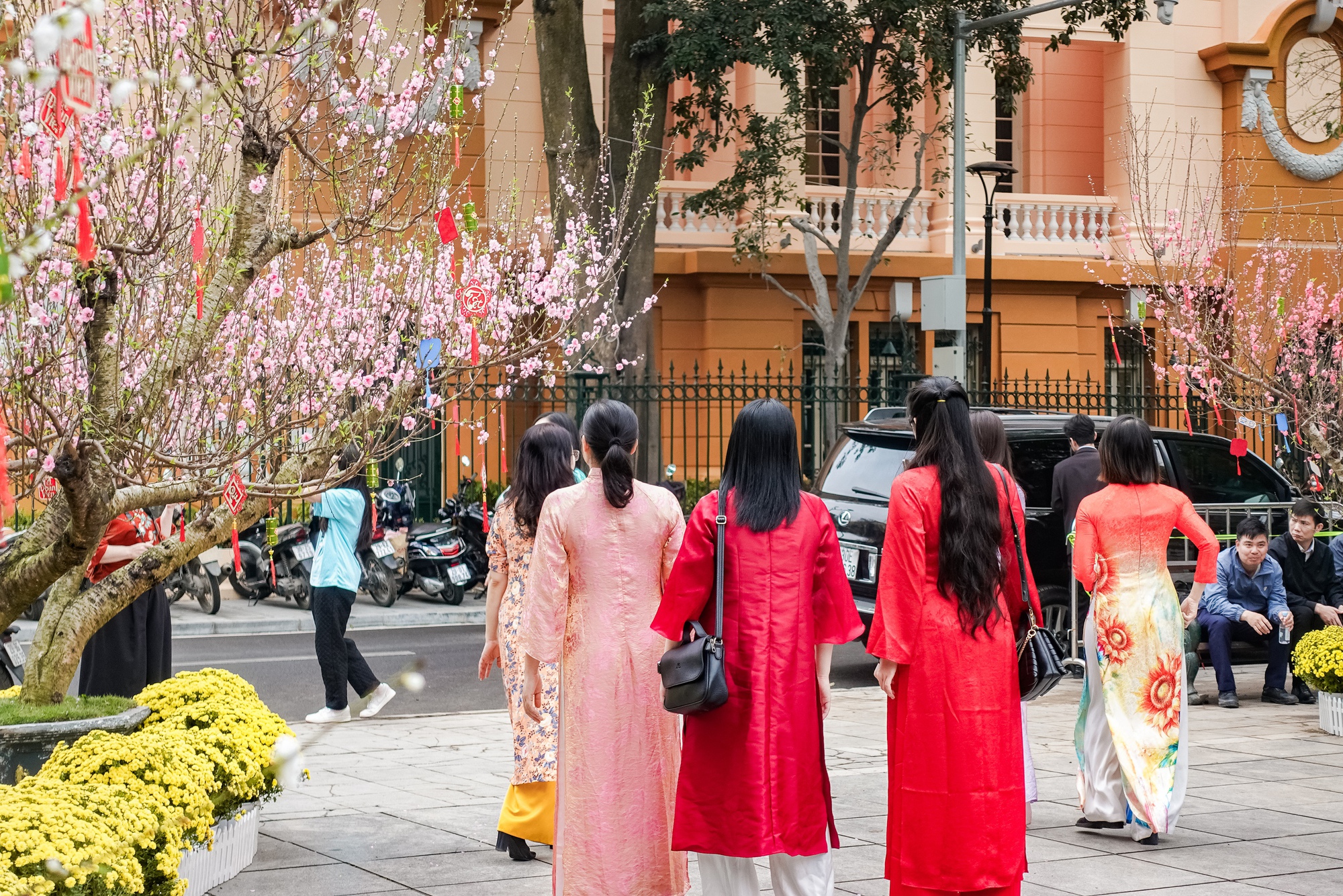 Khách Tây ngỡ ngàng trước vườn đào lớn chưa từng có nằm ngay giữa trung tâm Hà Nội- Ảnh 20.