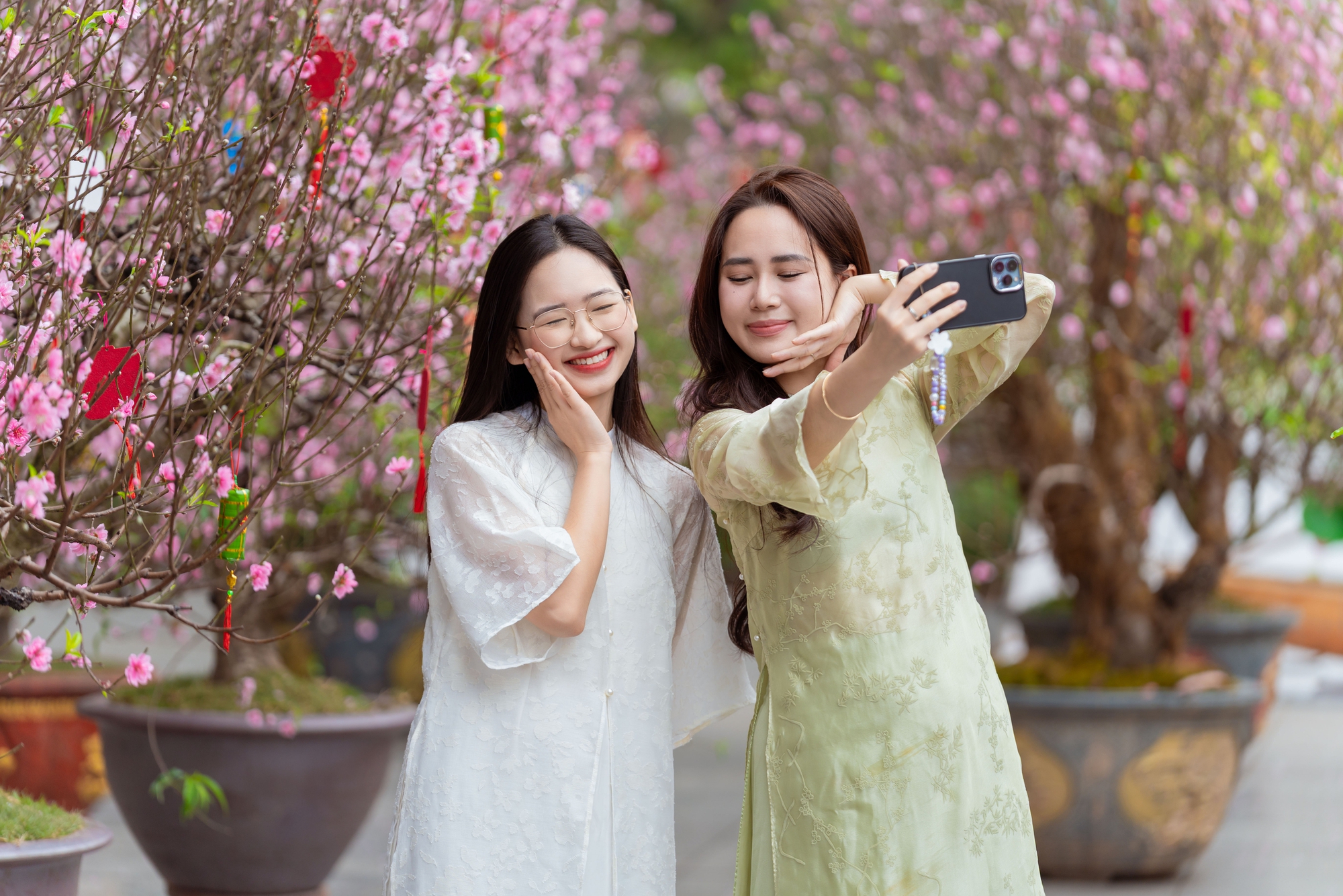 Khách Tây ngỡ ngàng trước vườn đào lớn chưa từng có nằm ngay giữa trung tâm Hà Nội- Ảnh 22.