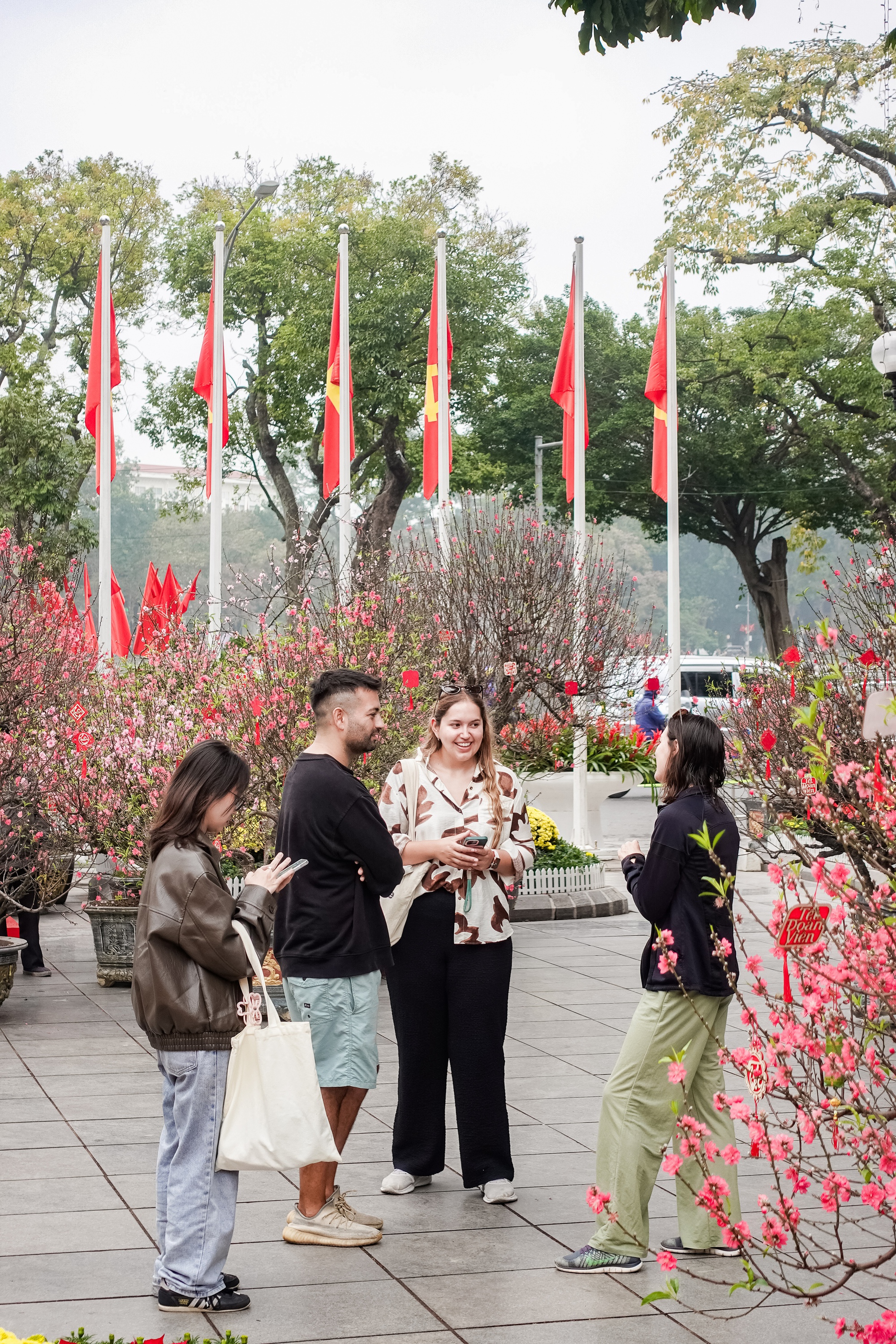 Khách Tây ngỡ ngàng trước vườn đào lớn chưa từng có nằm ngay giữa trung tâm Hà Nội- Ảnh 2.