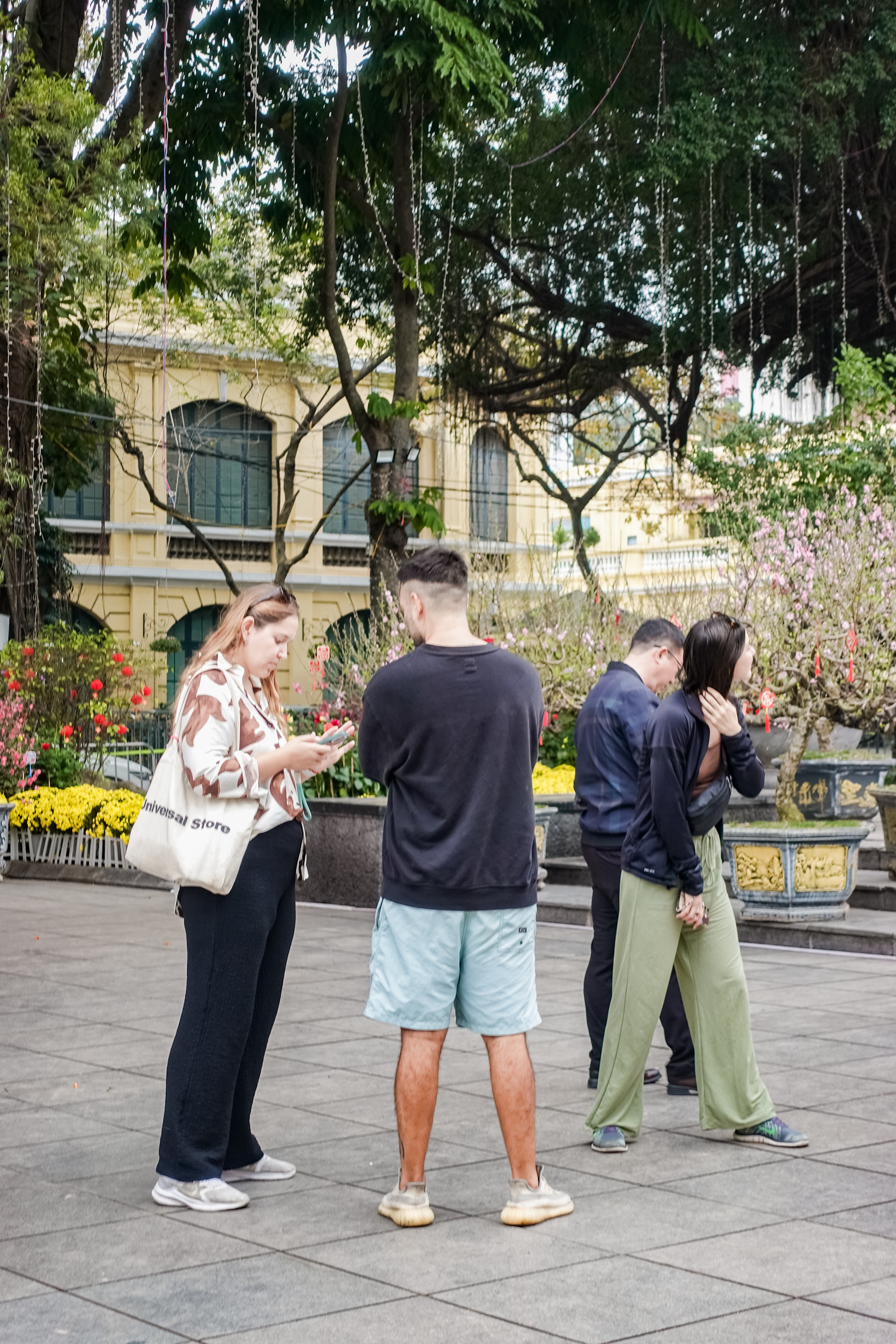 Khách Tây ngỡ ngàng trước vườn đào lớn chưa từng có nằm ngay giữa trung tâm Hà Nội- Ảnh 3.