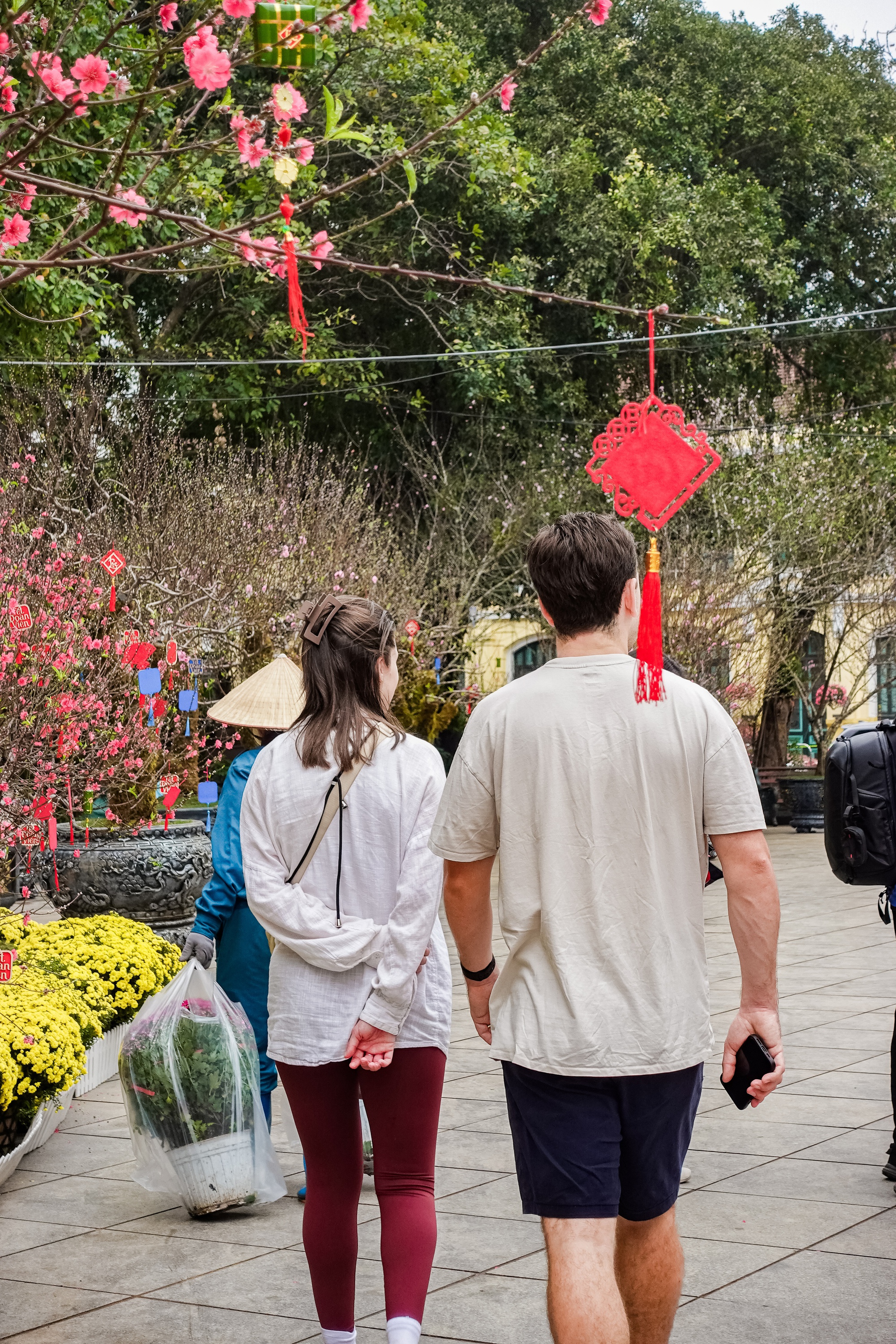Khách Tây ngỡ ngàng trước vườn đào lớn chưa từng có nằm ngay giữa trung tâm Hà Nội- Ảnh 5.