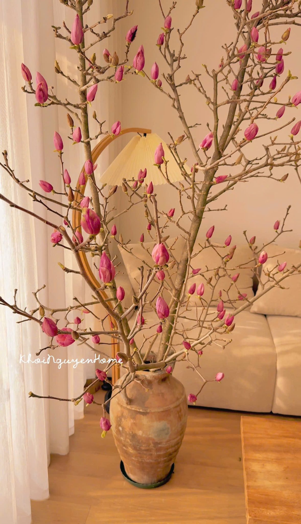 Cái kết "tàn canh gió lạnh" của dân chơi mộc lan Tết - Ảnh 2.