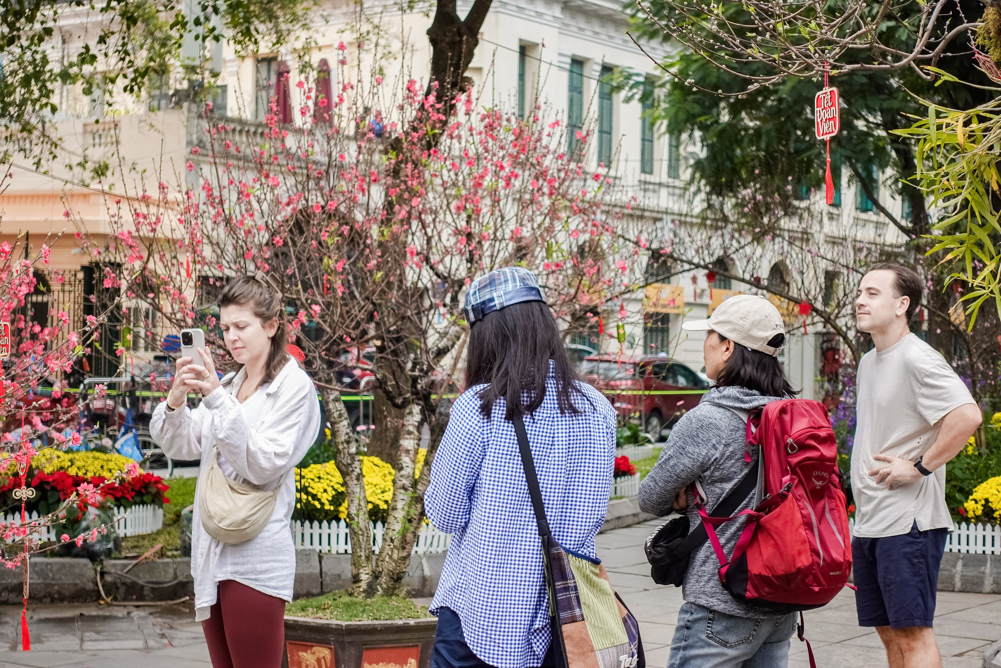 Khách Tây ngỡ ngàng trước vườn đào lớn chưa từng có nằm ngay giữa trung tâm Hà Nội- Ảnh 7.