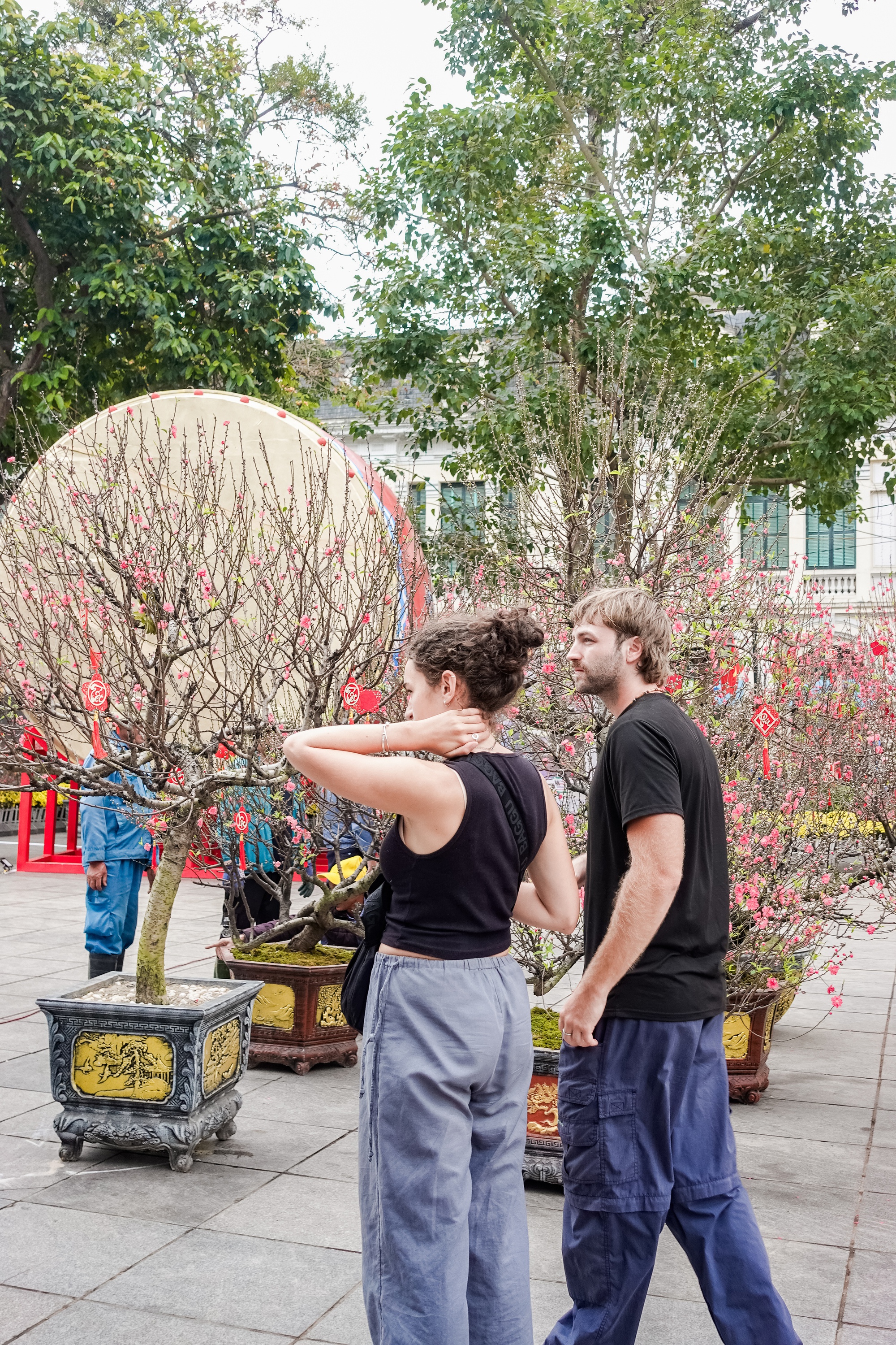Khách Tây ngỡ ngàng trước vườn đào lớn chưa từng có nằm ngay giữa trung tâm Hà Nội- Ảnh 9.