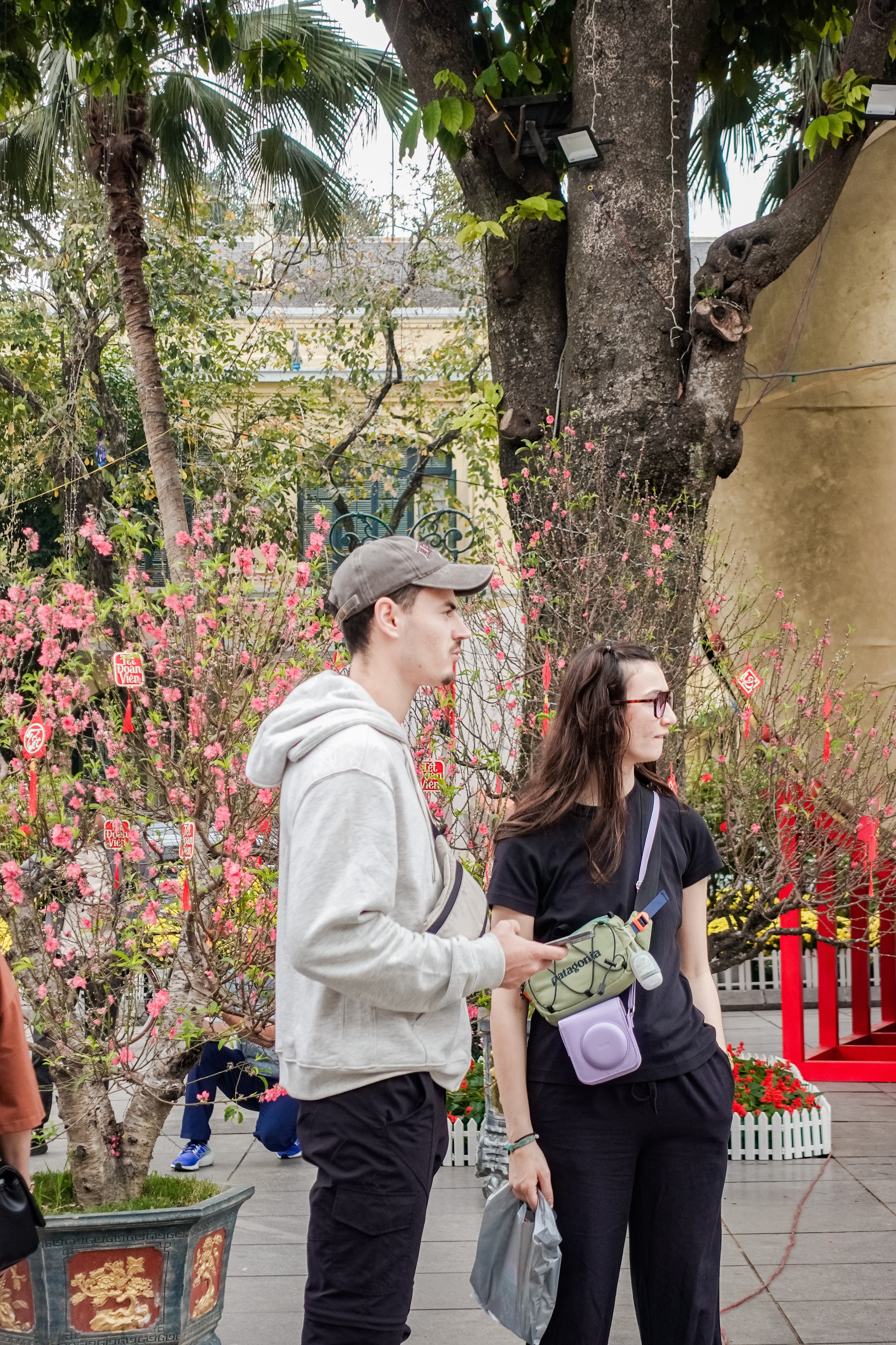 Khách Tây ngỡ ngàng trước vườn đào lớn chưa từng có nằm ngay giữa trung tâm Hà Nội- Ảnh 8.