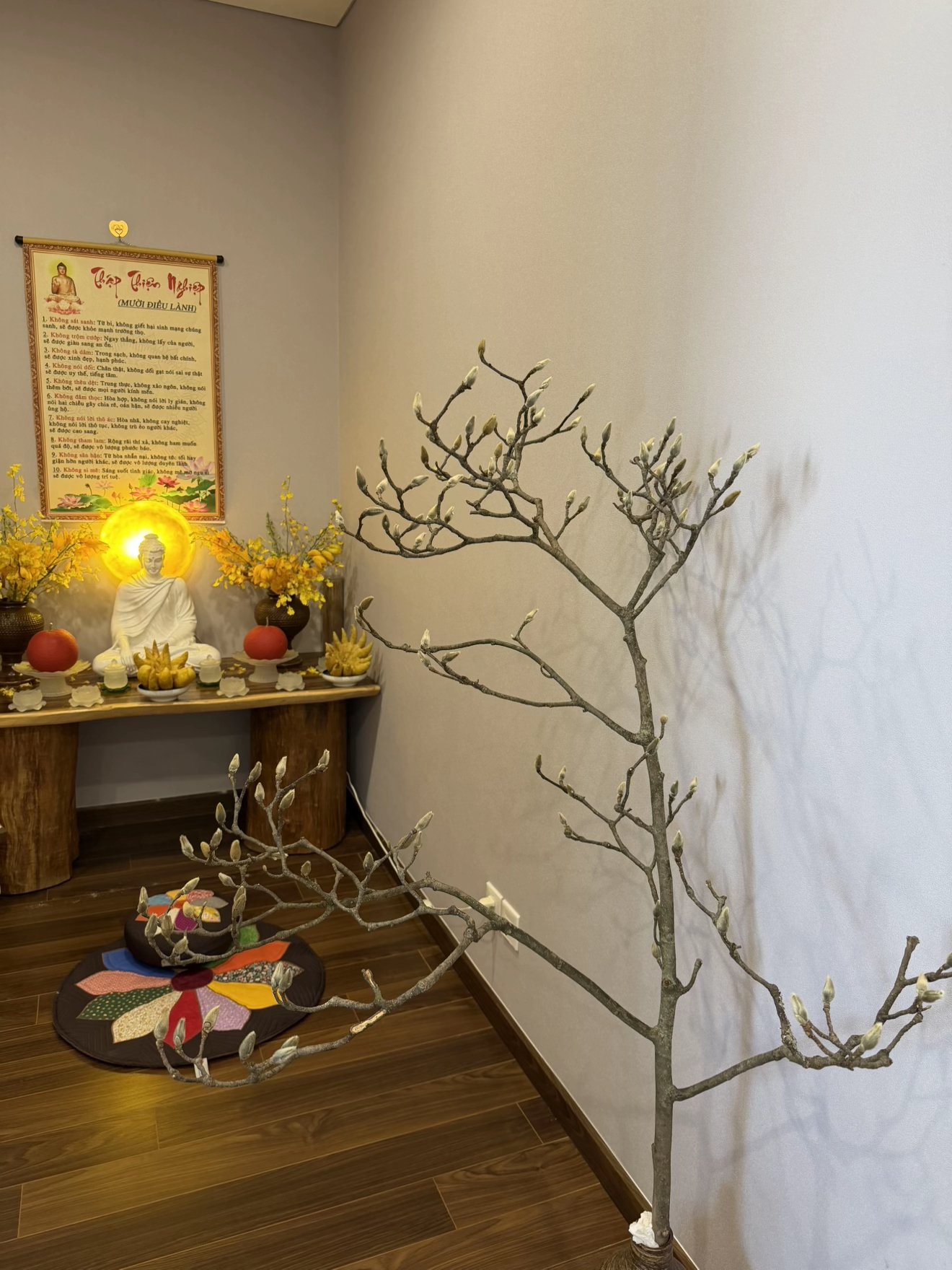 Cái kết "tàn canh gió lạnh" của dân chơi mộc lan Tết - Ảnh 20.