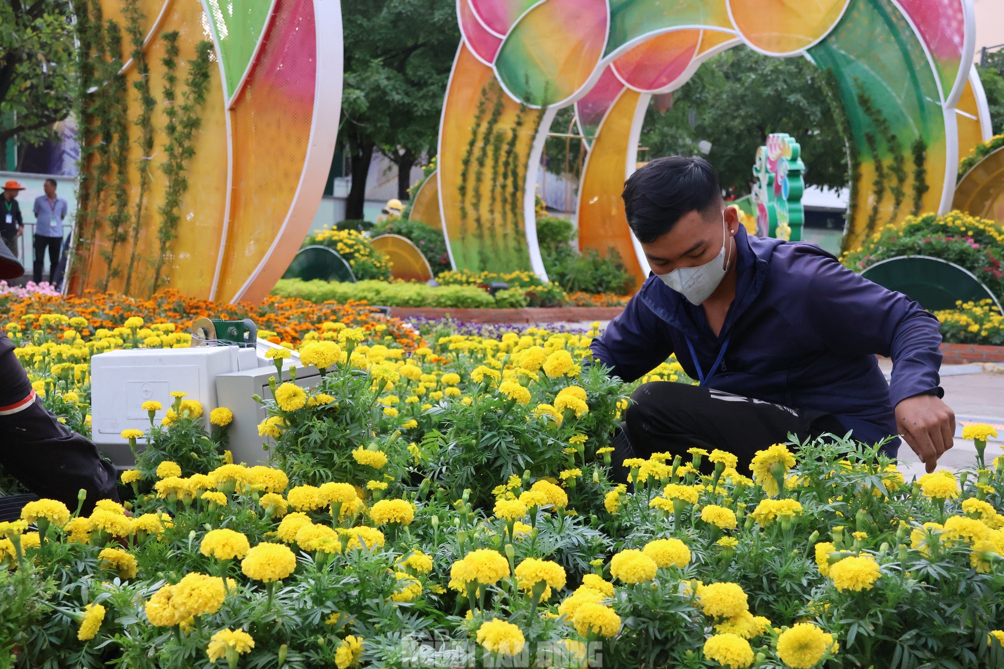 Phó Chủ tịch UBND TPHCM kiểm tra Đường hoa Nguyễn Huệ Tết Bính Ngọ 2026 trước giờ G - Ảnh 2.