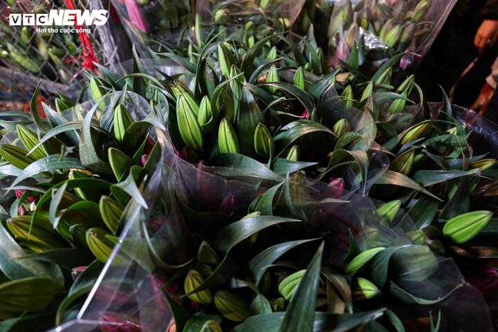 Biển người đi sắm Tết, chợ hoa lớn nhất miền Bắc tấp nập suốt đêm- Ảnh 12.