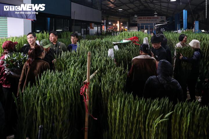 Biển người đi sắm Tết, chợ hoa lớn nhất miền Bắc tấp nập suốt đêm- Ảnh 8.