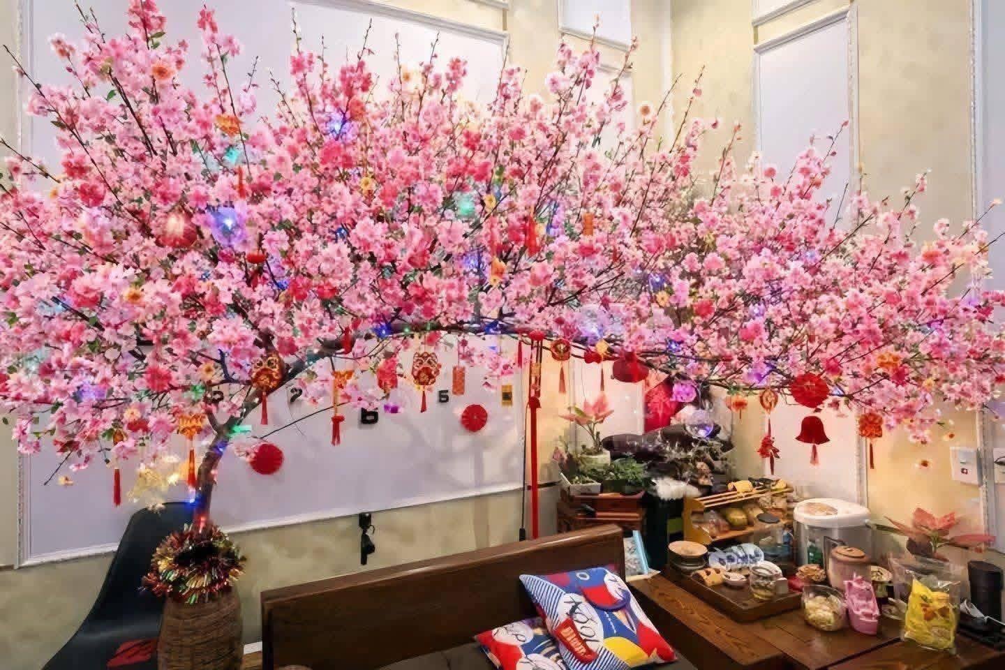 Miền Bắc lúc này: Đào chưa kịp Tết đã bung hết hoa, cả cõi mạng xin nhau tips “hoãn lại cái sự xinh đẹp ấy”- Ảnh 1.