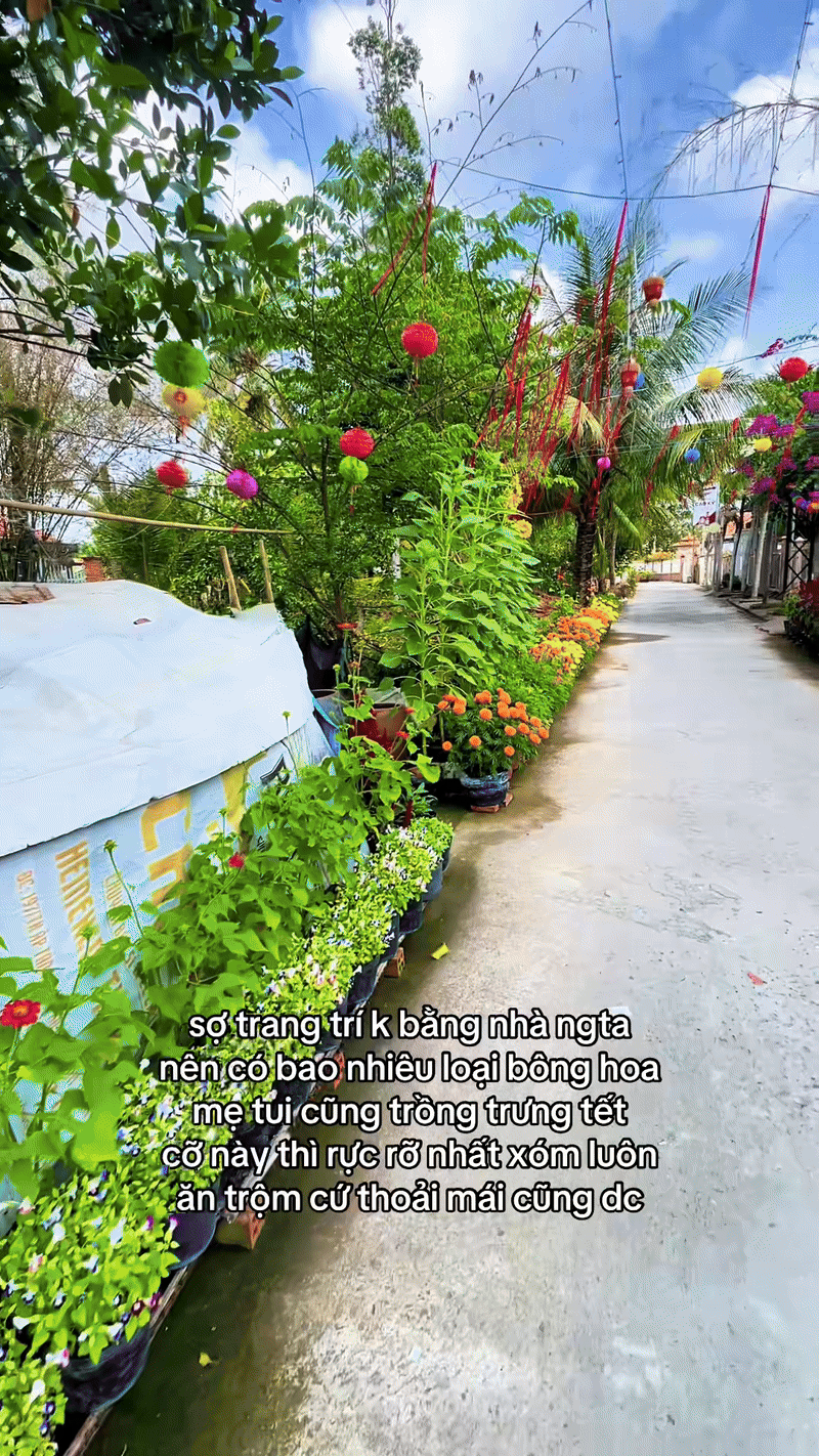 Trung bình nhà miền Tây đón Tết - Ảnh 2.