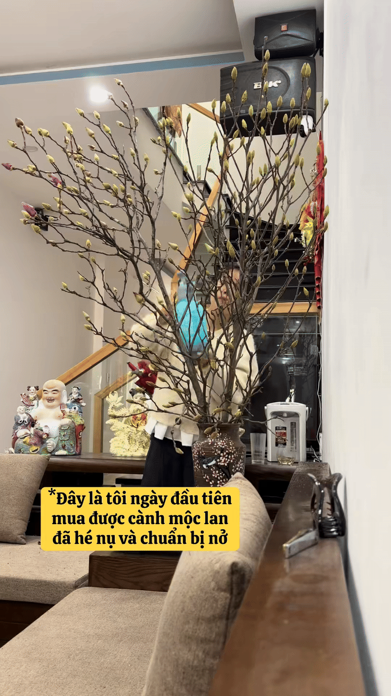 Cái kết "tàn canh gió lạnh" của dân chơi mộc lan Tết - Ảnh 8.