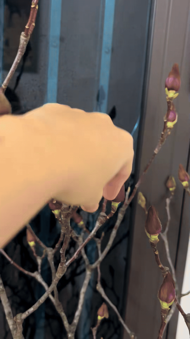 Cái kết "tàn canh gió lạnh" của dân chơi mộc lan Tết - Ảnh 10.