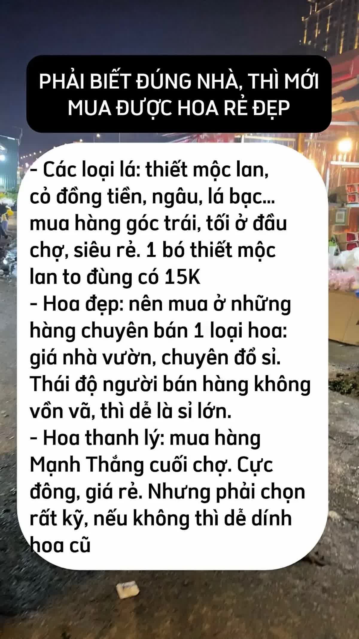 Mua hoa Tết ở Quảng Bá, chênh vài trăm nghìn là chuyện thường: 5 mẹo không bao giờ bị hớ từ người có 10 năm kinh nghiệm- Ảnh 7.