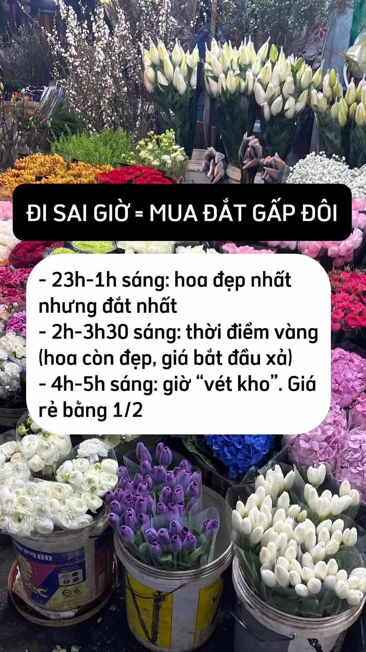 Mua hoa Tết ở Quảng Bá, chênh vài trăm nghìn là chuyện thường: 5 mẹo không bao giờ bị hớ từ người có 10 năm kinh nghiệm- Ảnh 3.