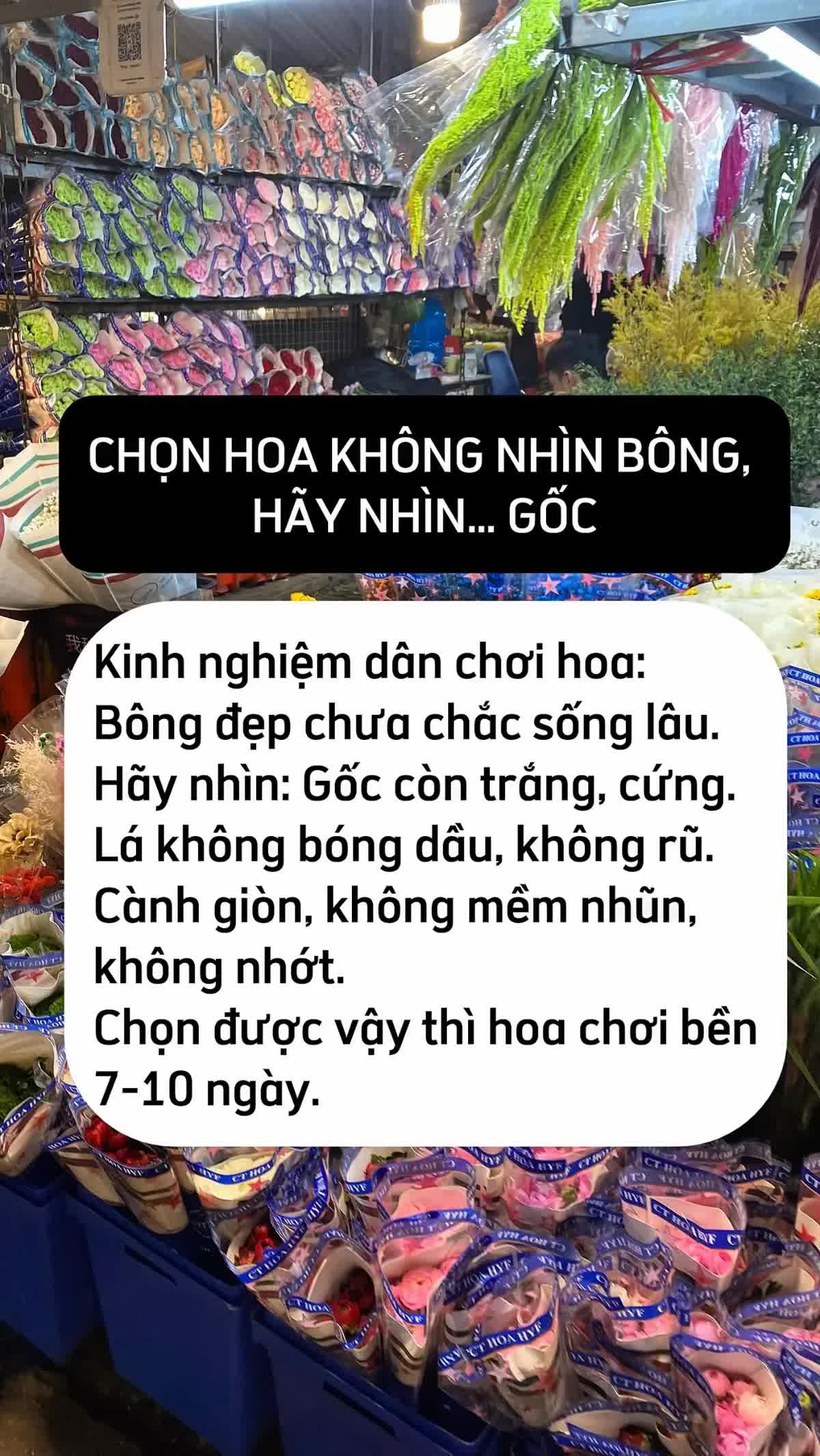 Mua hoa Tết ở Quảng Bá, chênh vài trăm nghìn là chuyện thường: 5 mẹo không bao giờ bị hớ từ người có 10 năm kinh nghiệm- Ảnh 6.