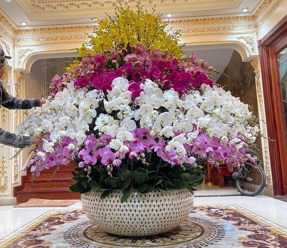 Tự nhiên Tết năm nay, người ta lại thi nhau mua một loại hoa có cái tên cực mỹ miều đi biếu tặng, vừa có gu vừa tinh tế- Ảnh 17.