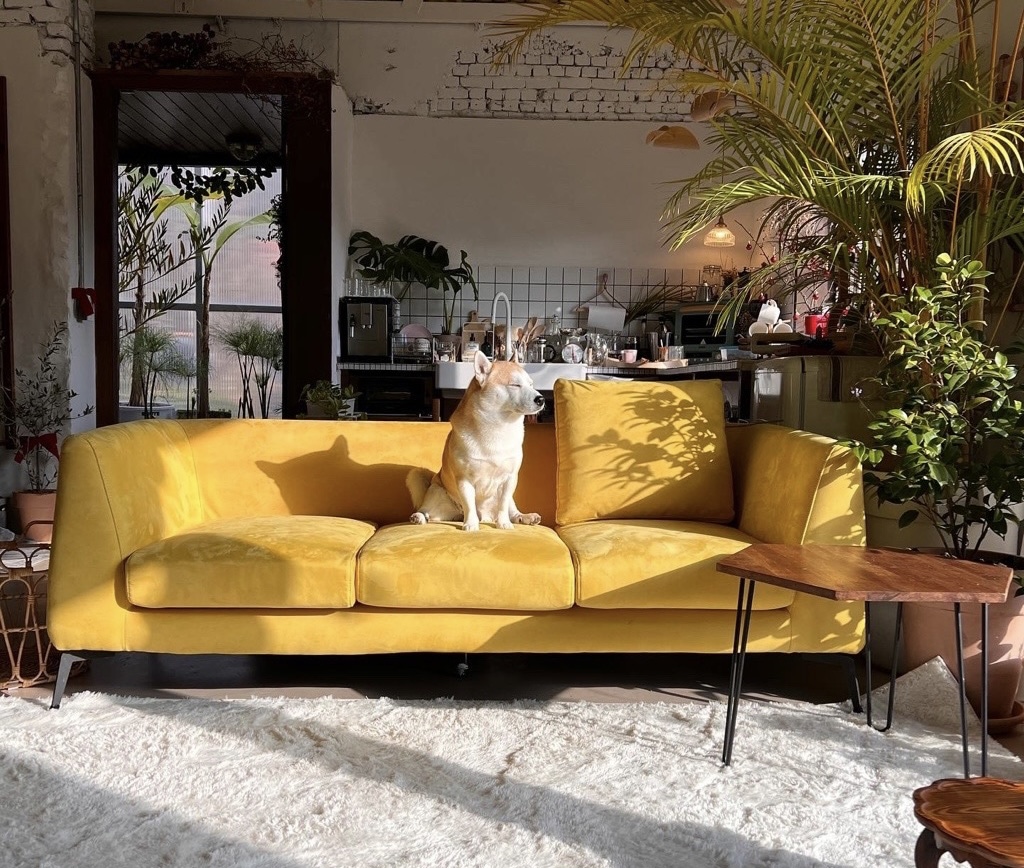 Bỏ phố về quê cải tạo nhà 30 năm tuổi: Mẹ hai con biến căn nhà cũ thành biệt thự nghỉ dưỡng, ai nhìn cũng muốn chuyển đến ở- Ảnh 15.