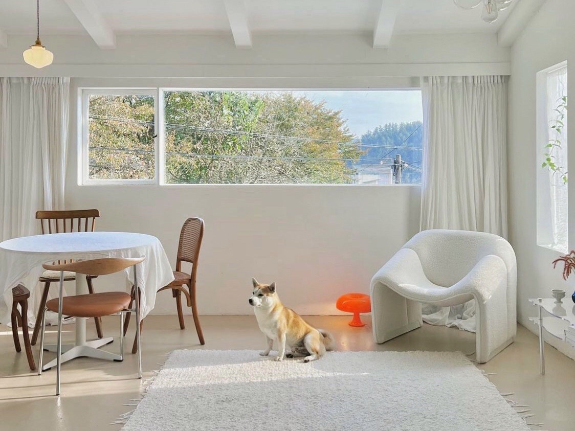 Bỏ phố về quê cải tạo nhà 30 năm tuổi: Mẹ hai con biến căn nhà cũ thành biệt thự nghỉ dưỡng, ai nhìn cũng muốn chuyển đến ở- Ảnh 19.