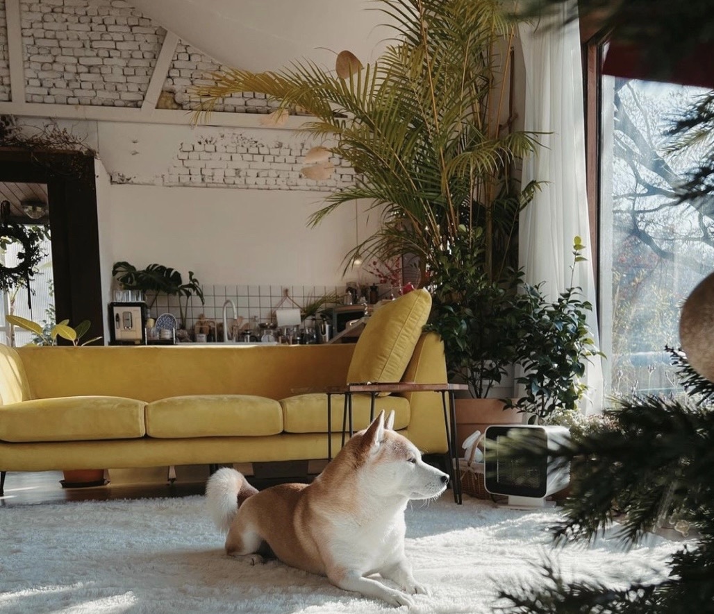 Bỏ phố về quê cải tạo nhà 30 năm tuổi: Mẹ hai con biến căn nhà cũ thành biệt thự nghỉ dưỡng, ai nhìn cũng muốn chuyển đến ở- Ảnh 14.