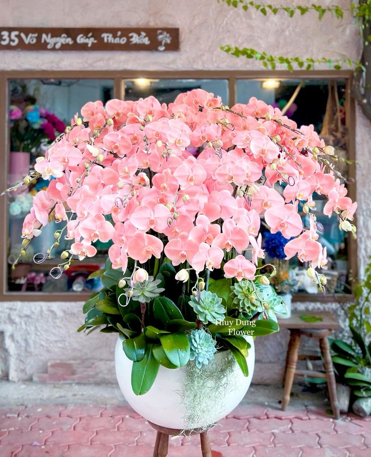 Tự nhiên Tết năm nay, người ta lại thi nhau mua một loại hoa có cái tên cực mỹ miều đi biếu tặng, vừa có gu vừa tinh tế- Ảnh 4.