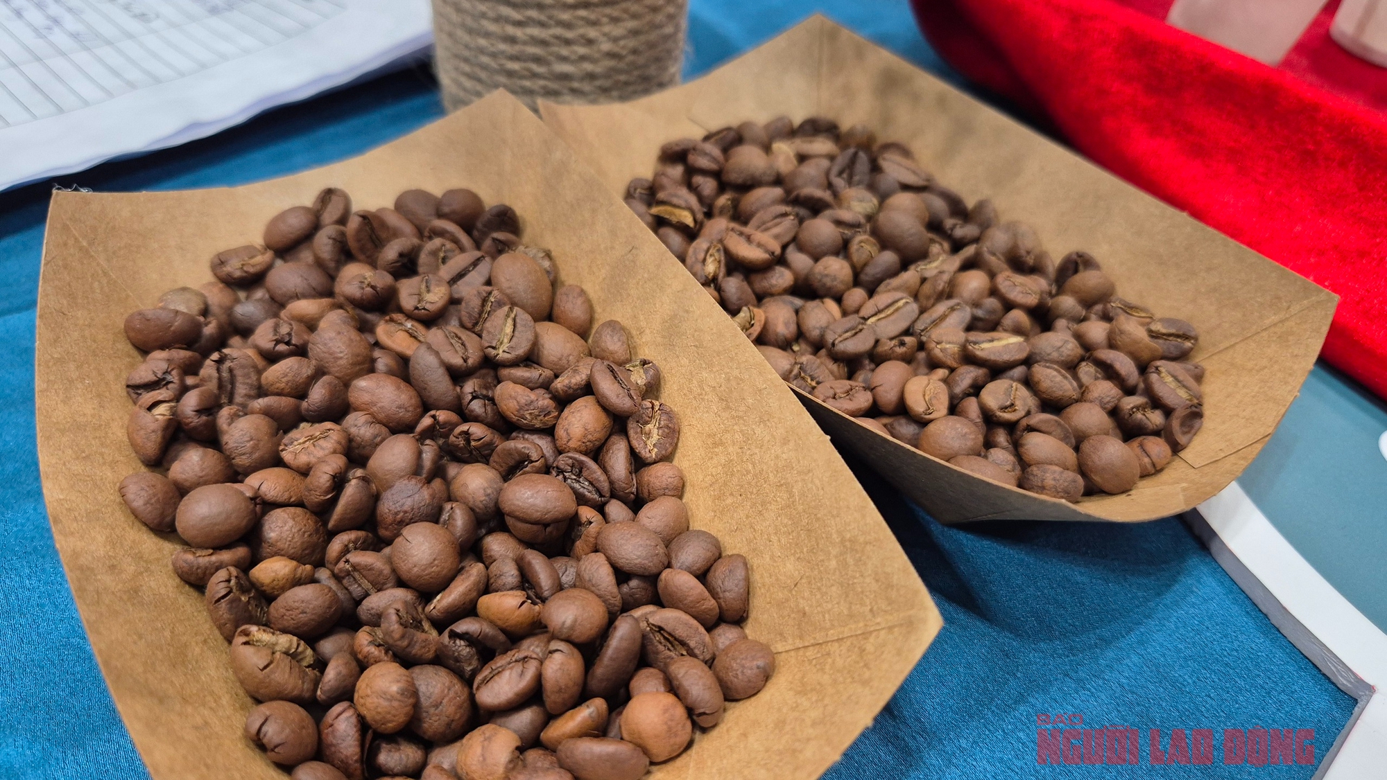 Giá cà phê hôm nay 14 - 2: Xu hướng tăng giá Robusta và Arabica trong 2026 - Ảnh 2.