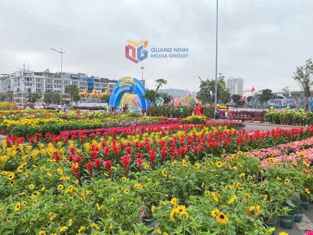 Ngày mai, một sự kiện đặc biệt sẽ diễn ra tại Quảng Ninh- Ảnh 3.